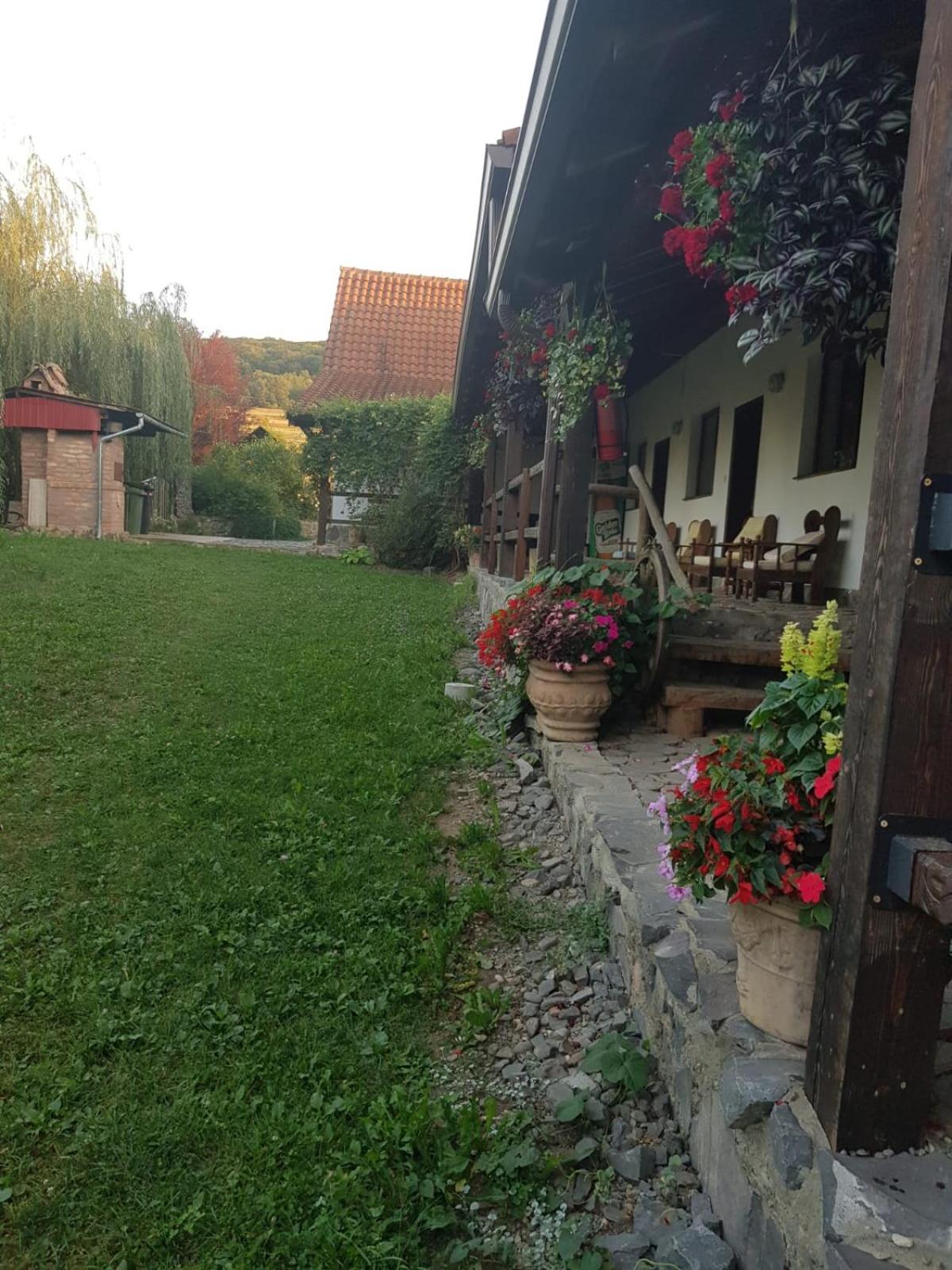 Photo 34