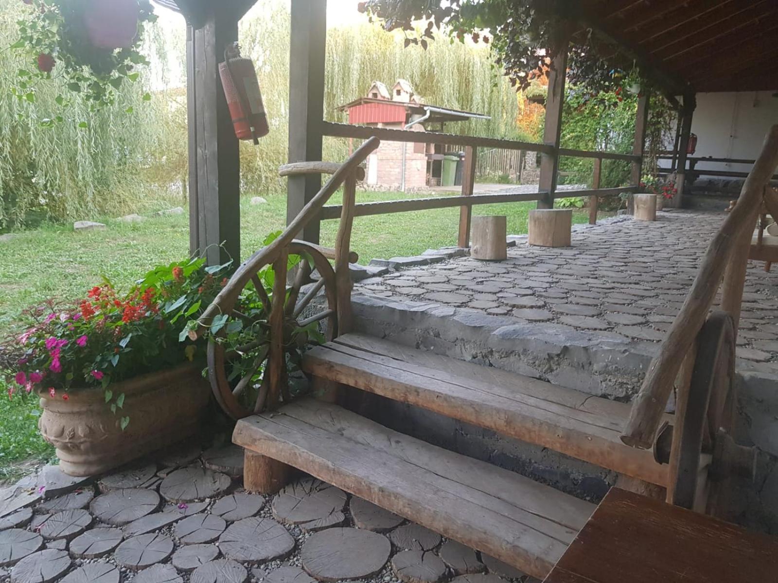 Photo 11