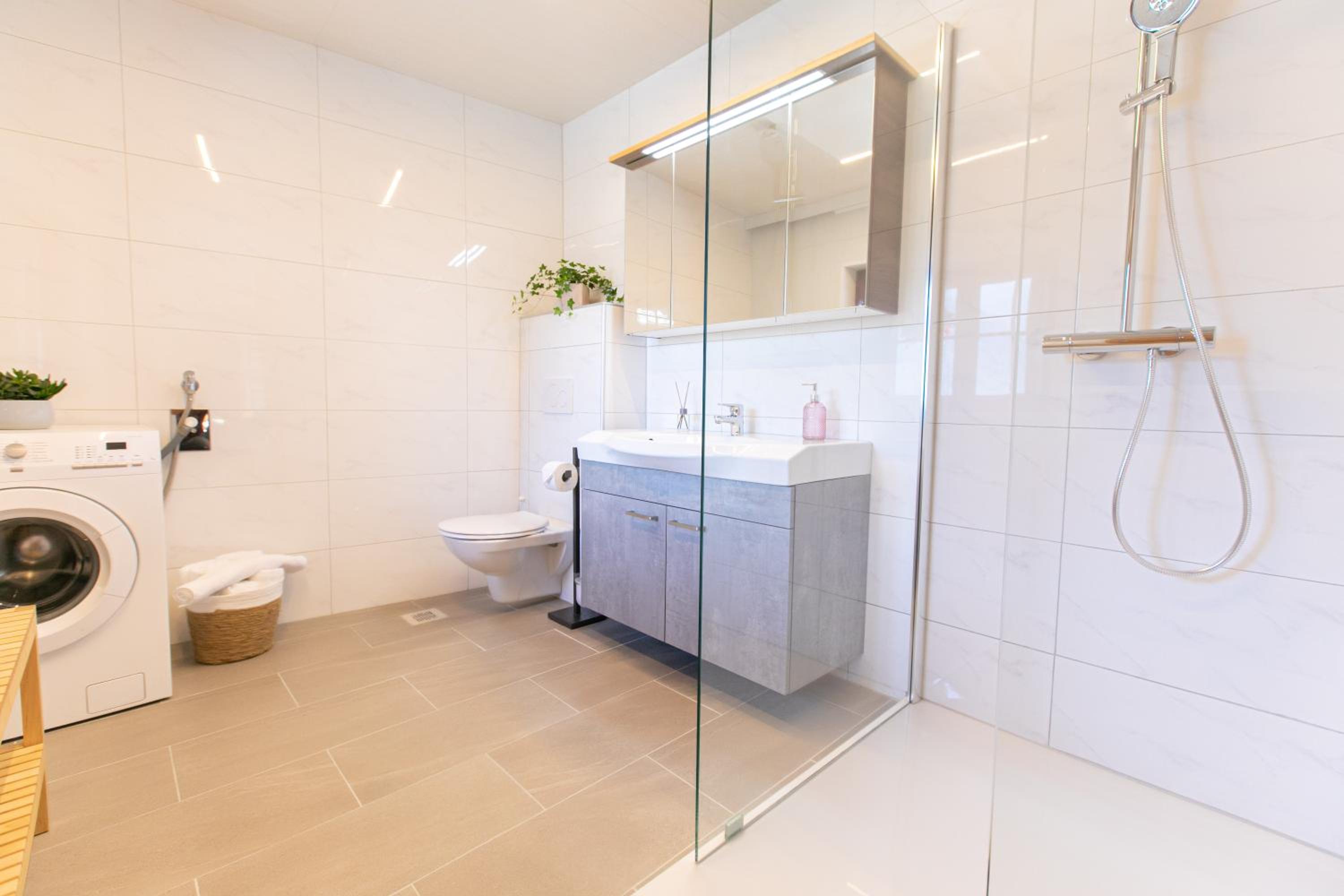 Weisses Lamm view 3