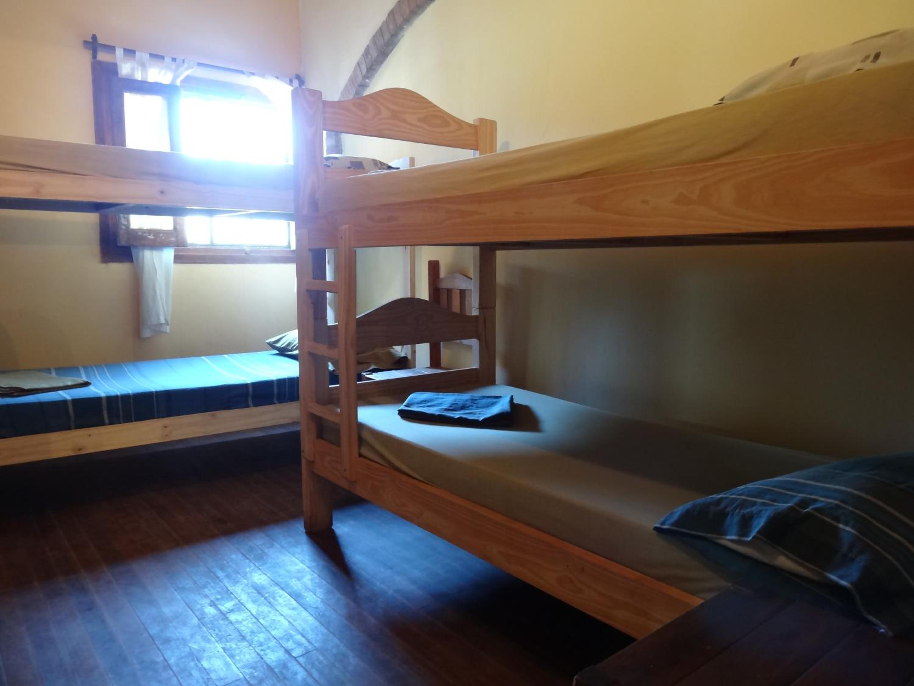 Tree House Hostel