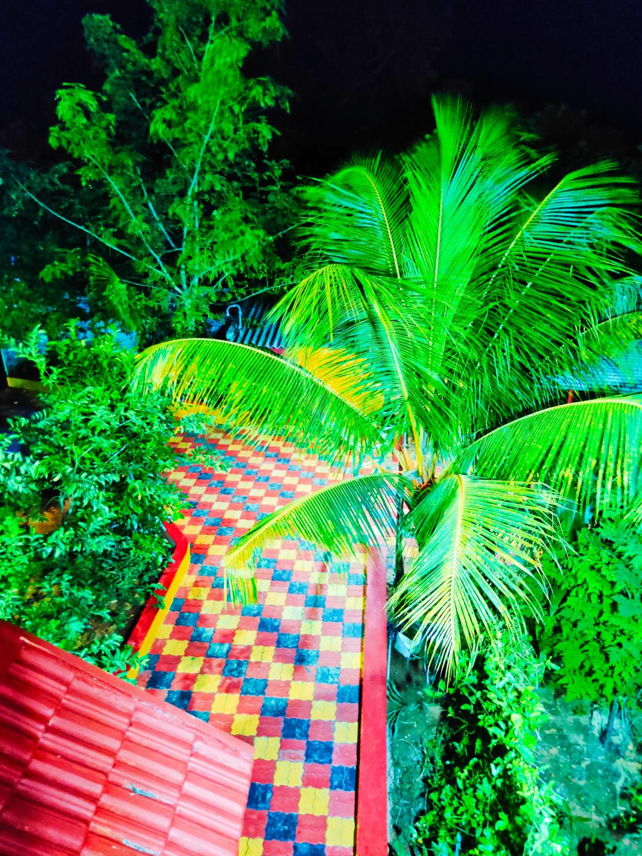 Smith garden Farm house Auroville Pondicherry view 4