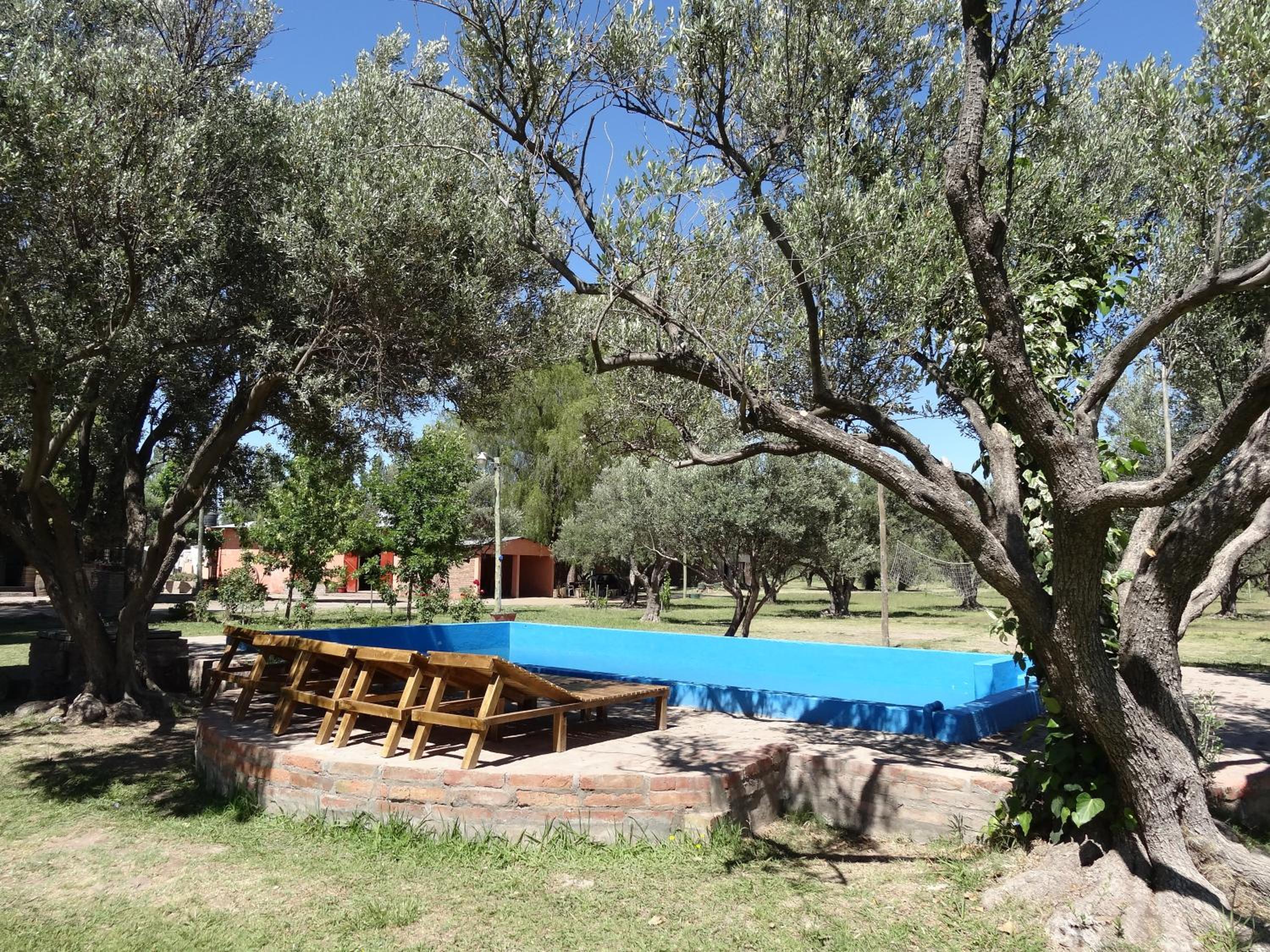 Tree House Hostel