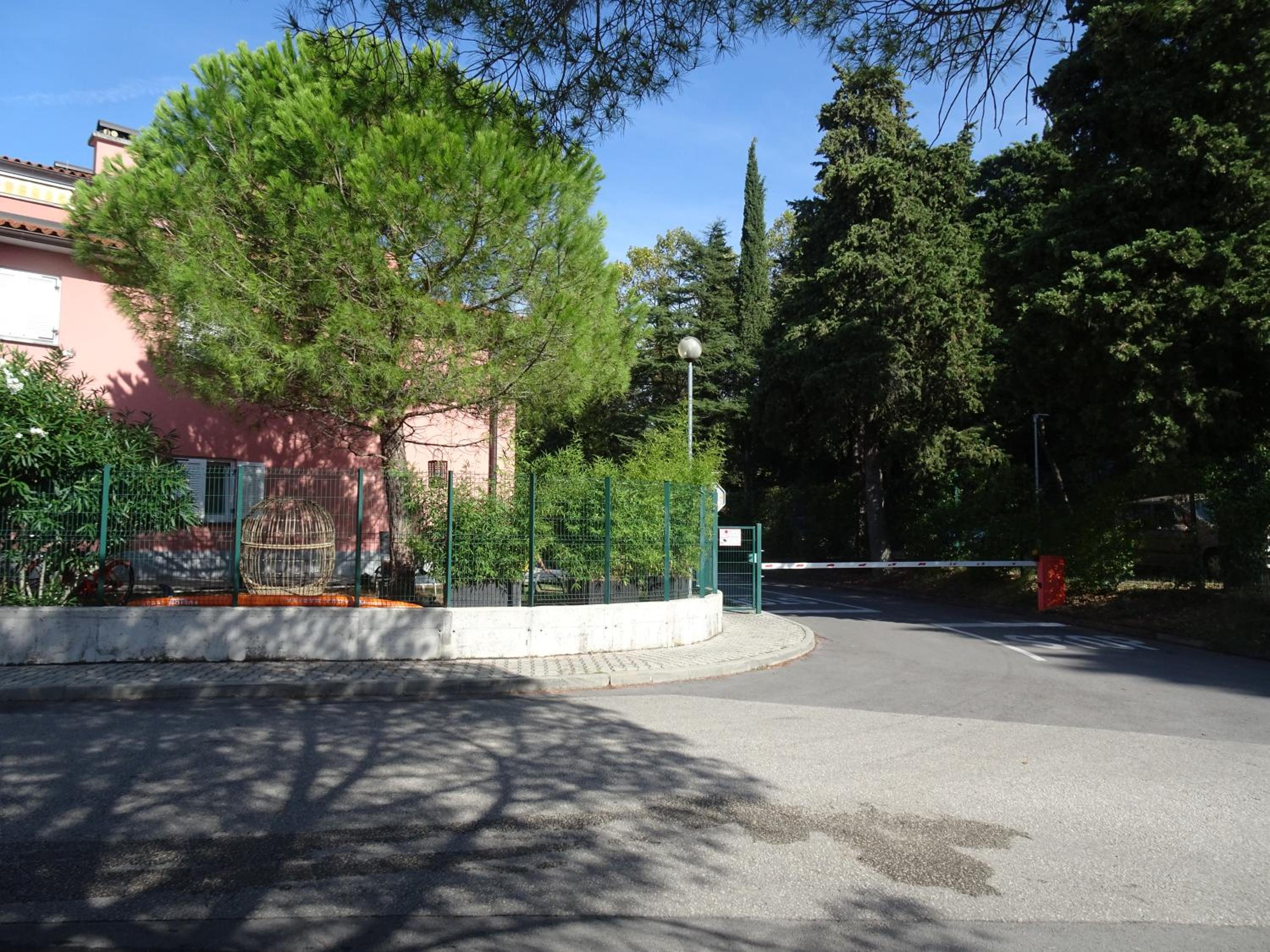 Photo 43