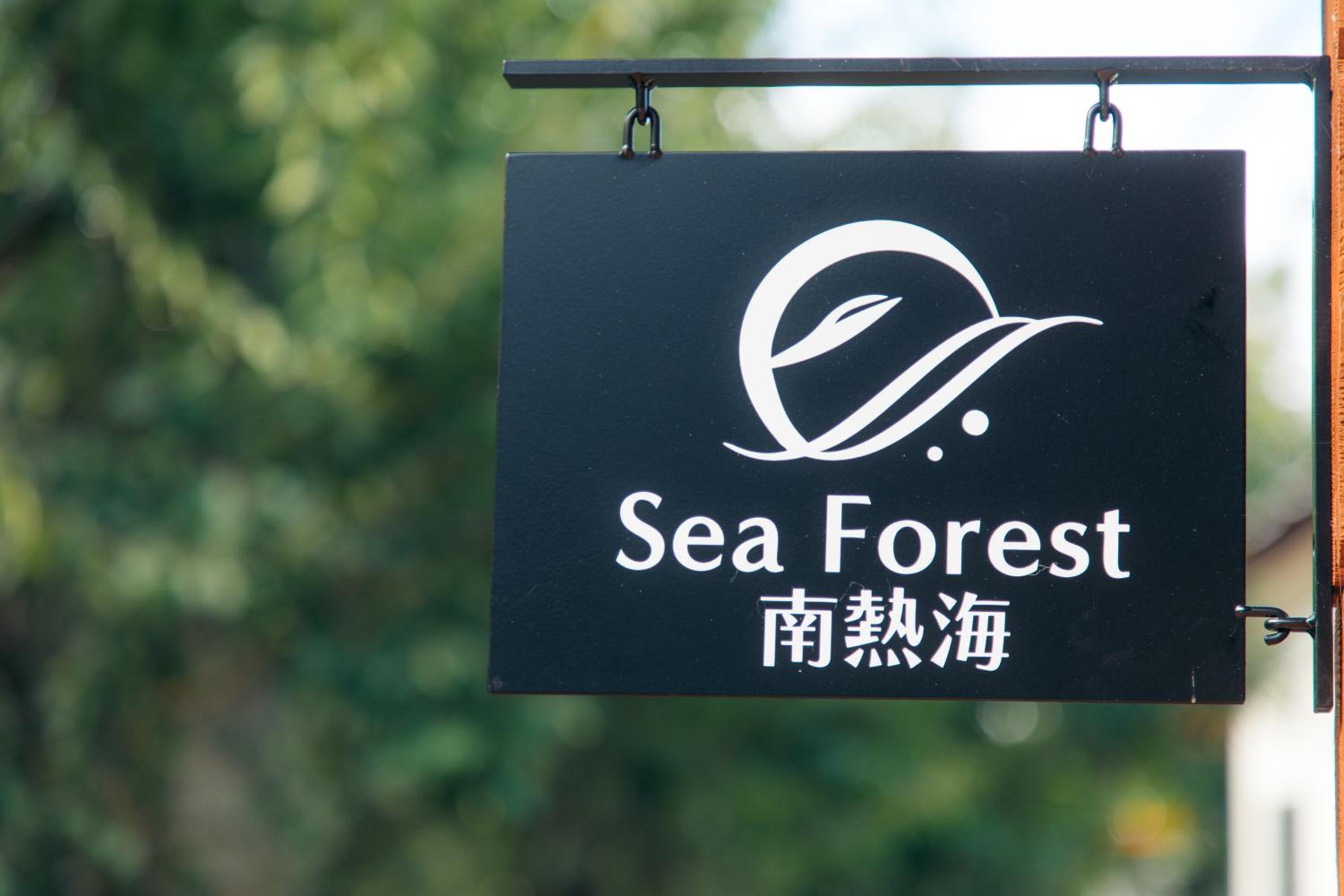 Sea Forest 南熱海 view 5