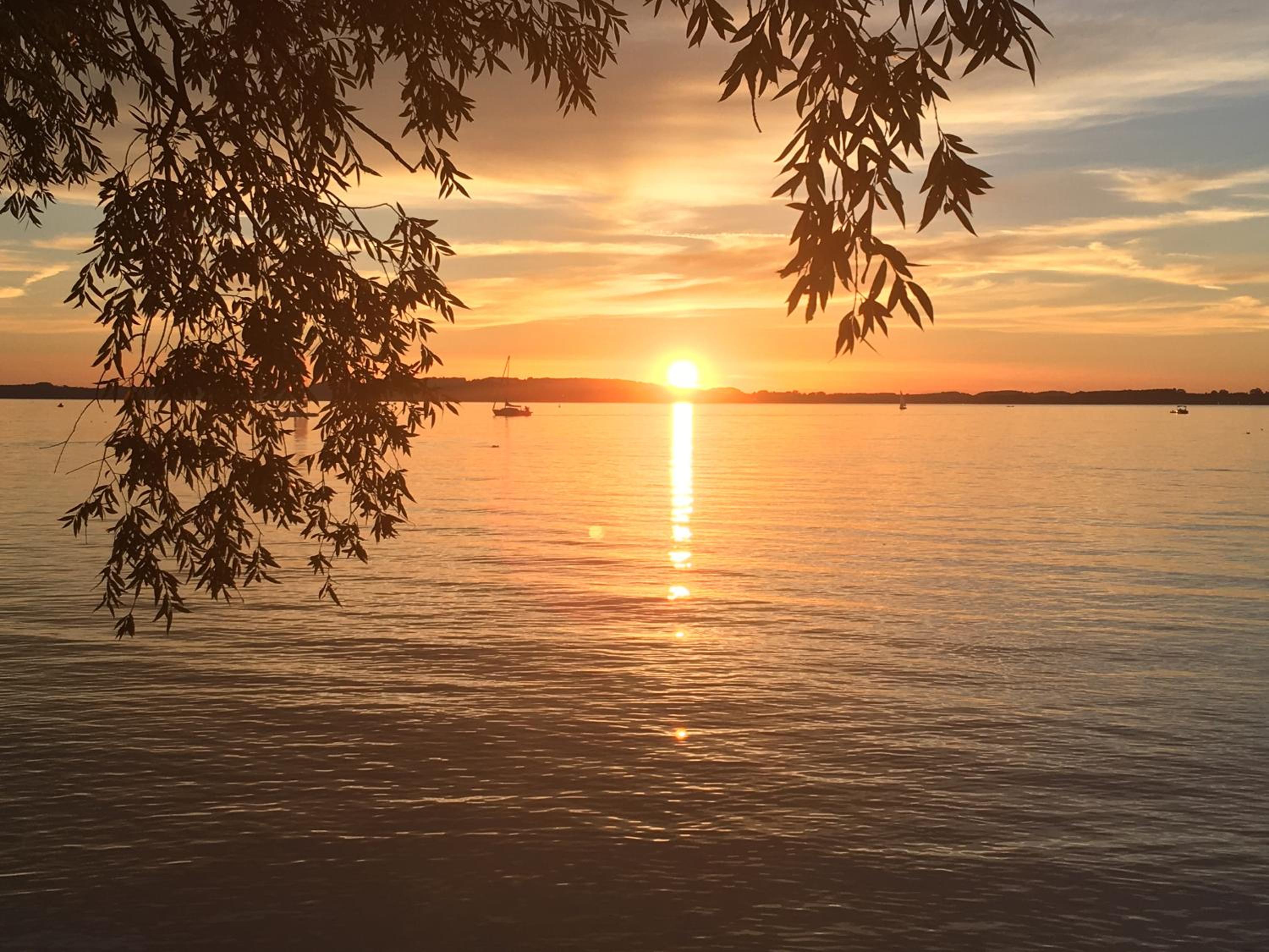 Ferienwohnung am Chiemsee view 4