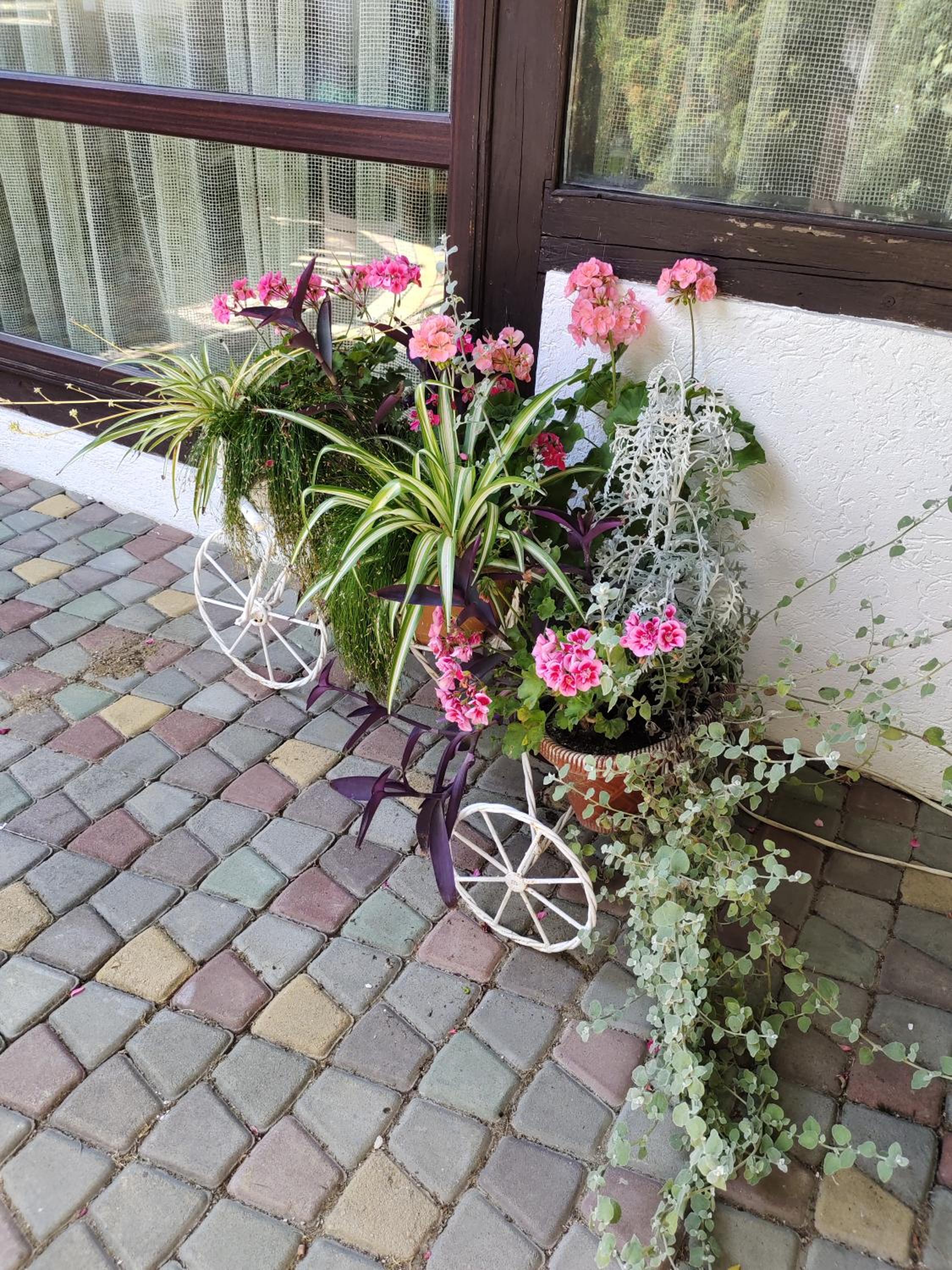 Photo 26