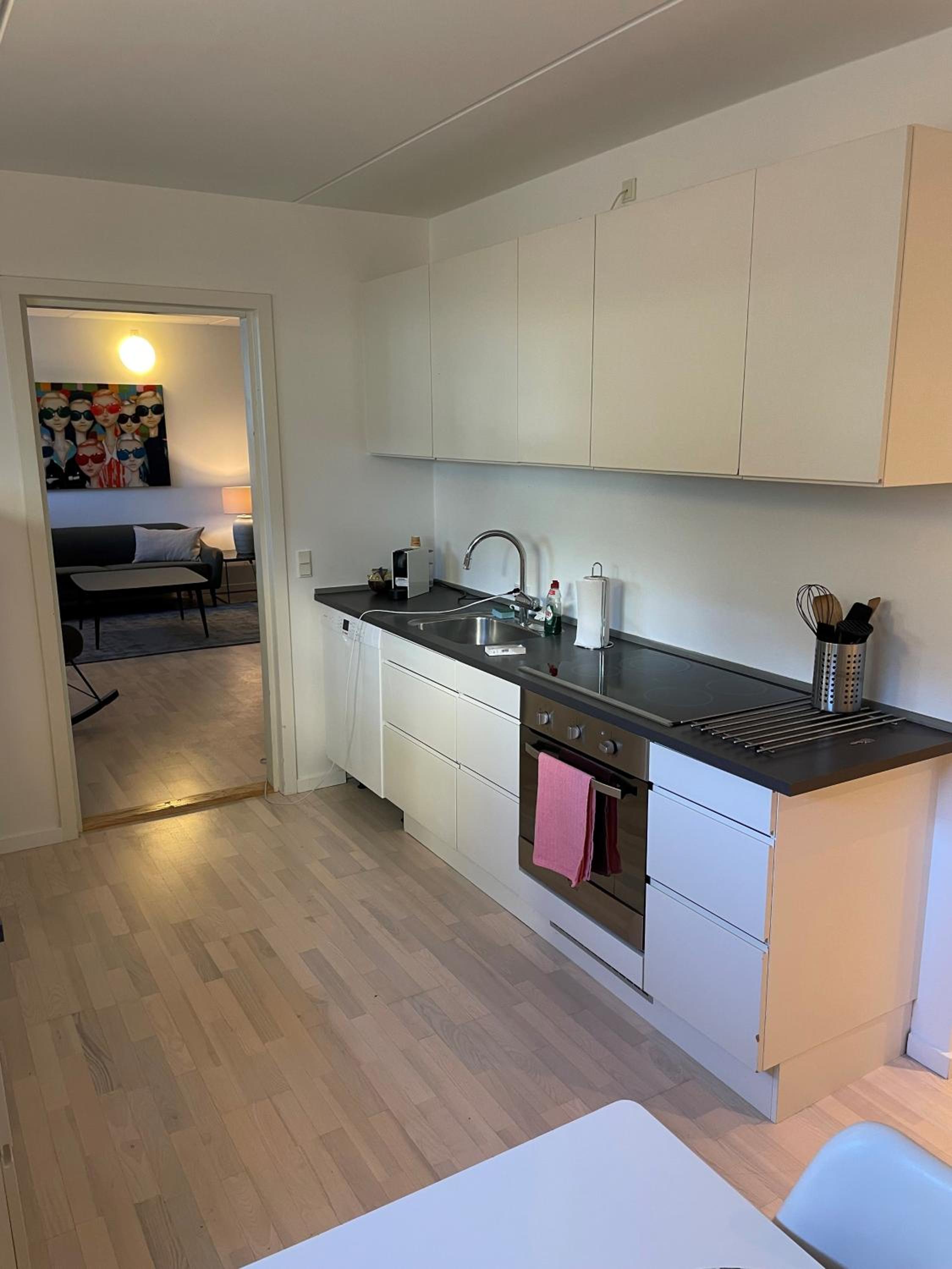 CPH Lux Apartments KH view 3