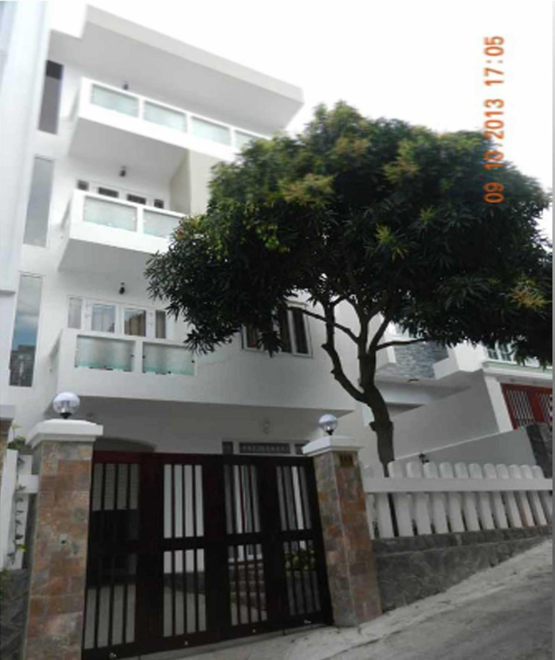 Mango Tree view 3