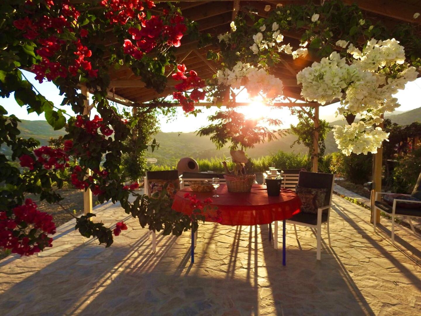 Exclusive Nirvana yurts Glamping view 4