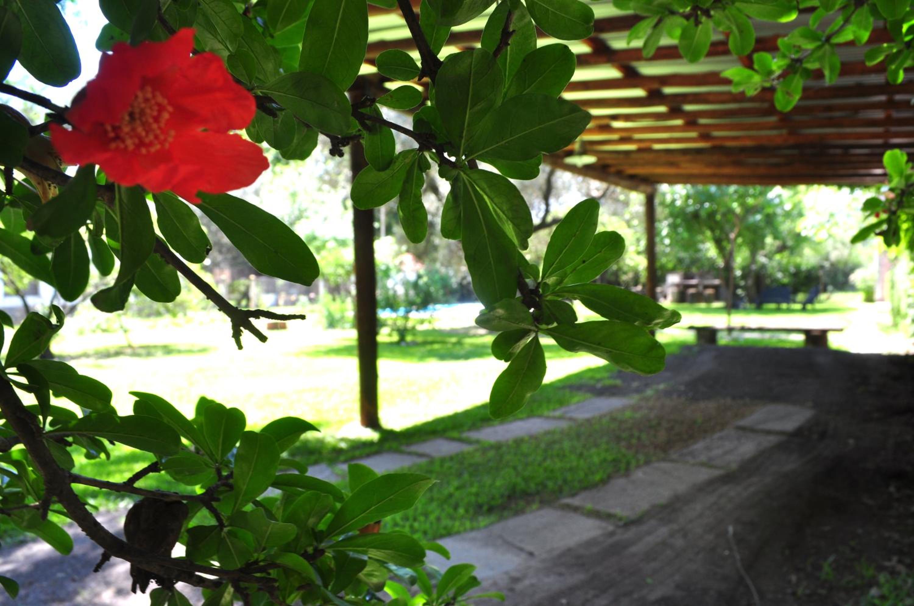 Los Olivos Loft