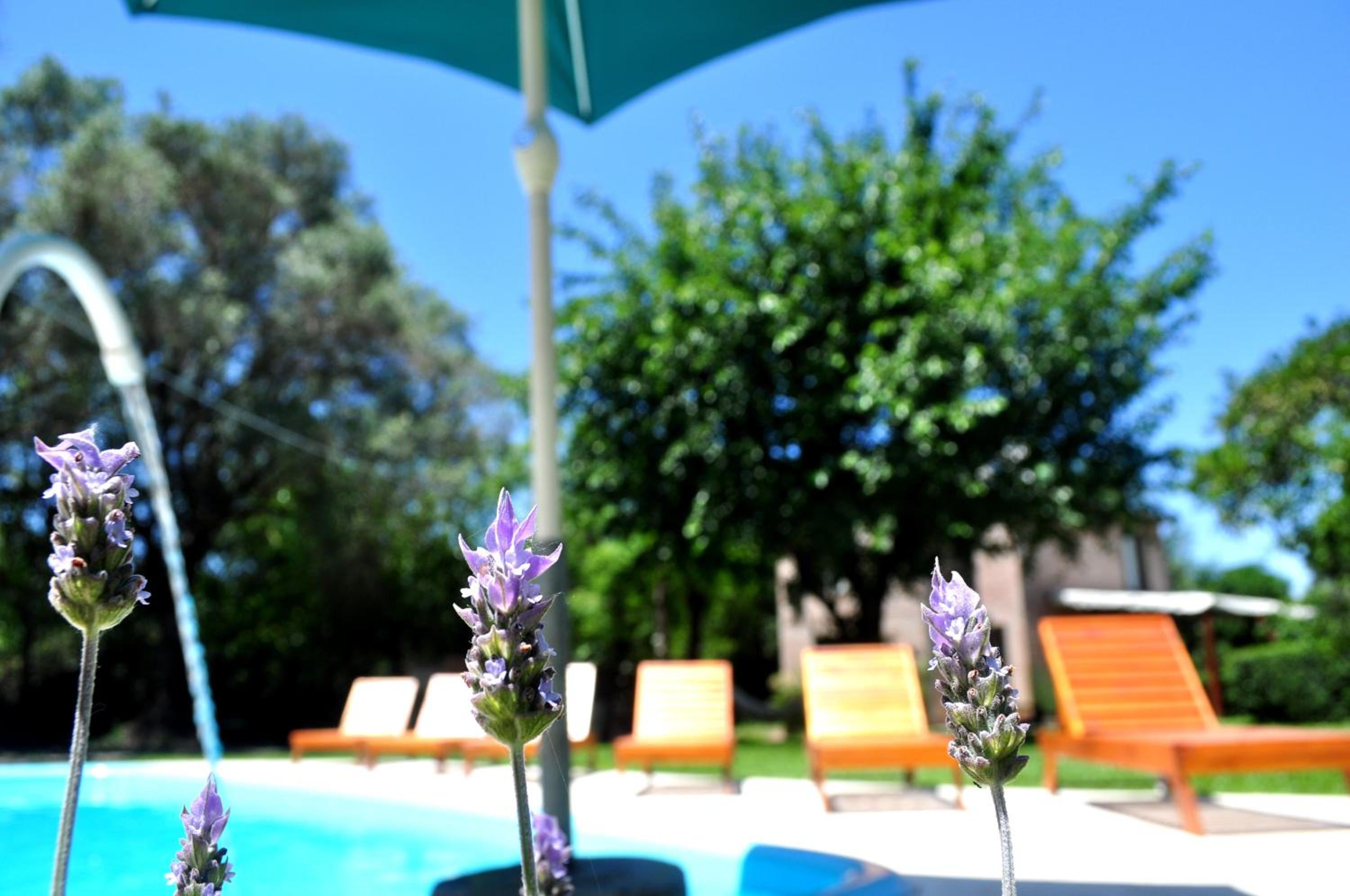 Los Olivos Loft