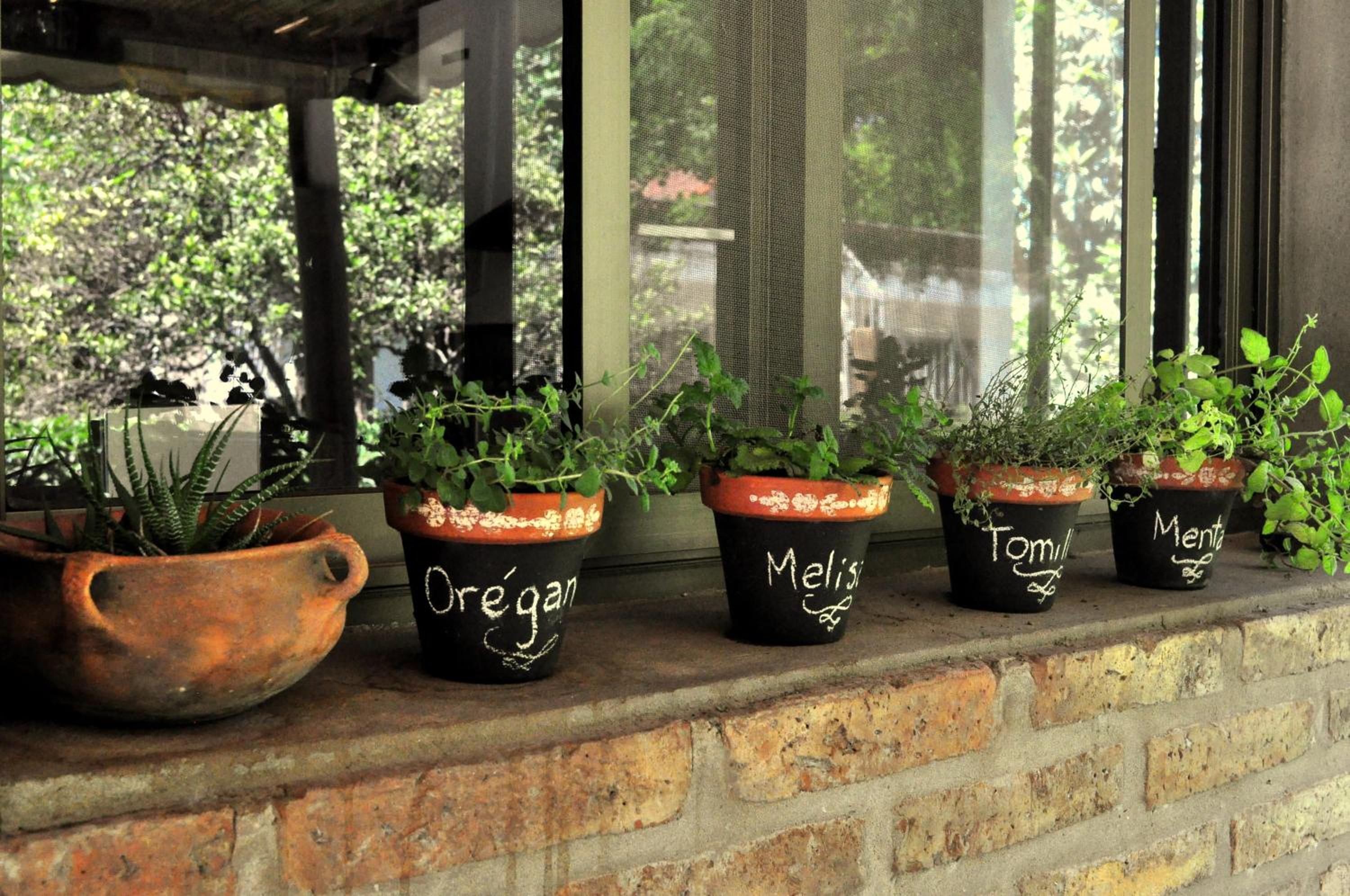 Los Olivos Loft