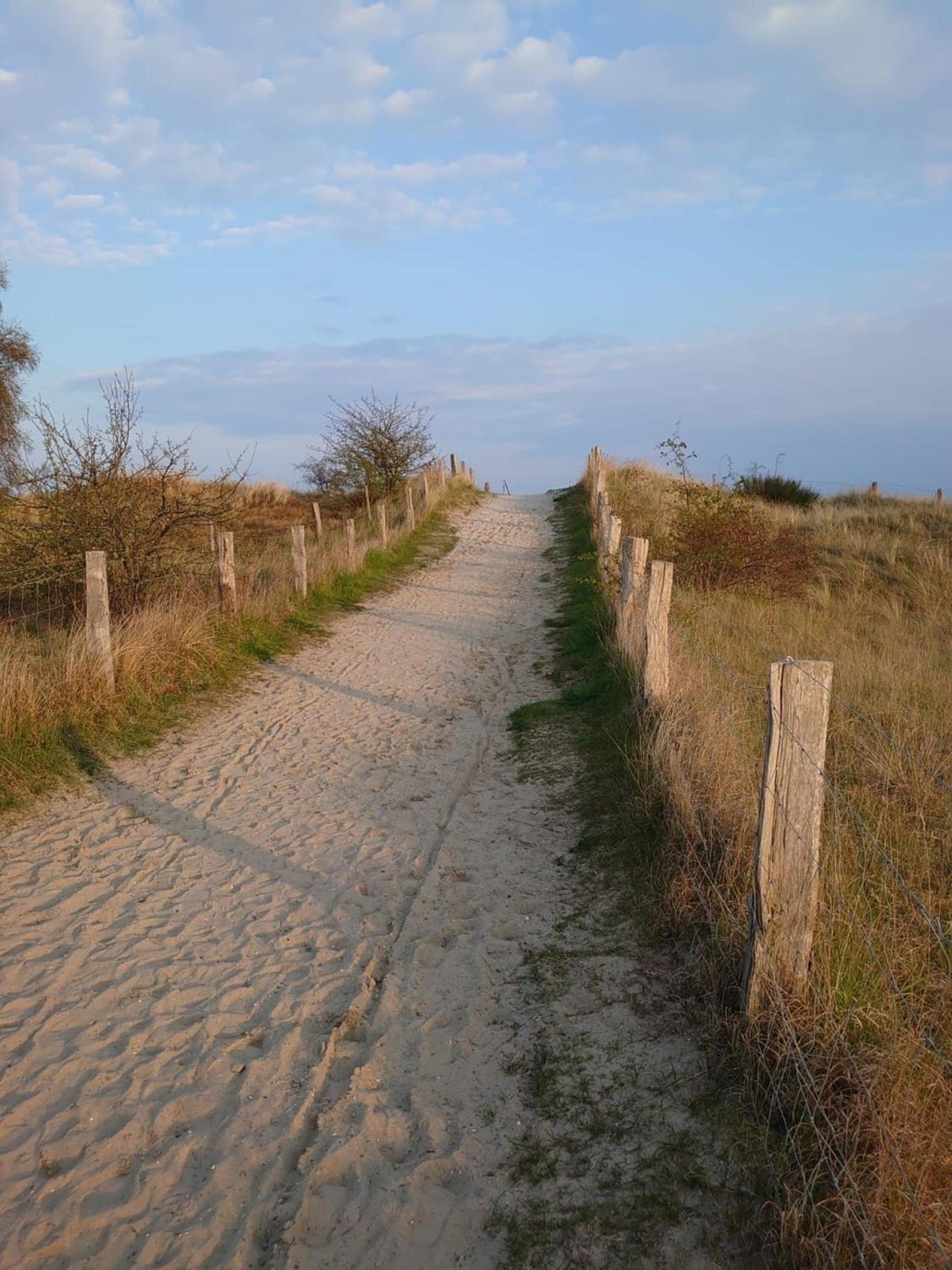 Strandpark 35