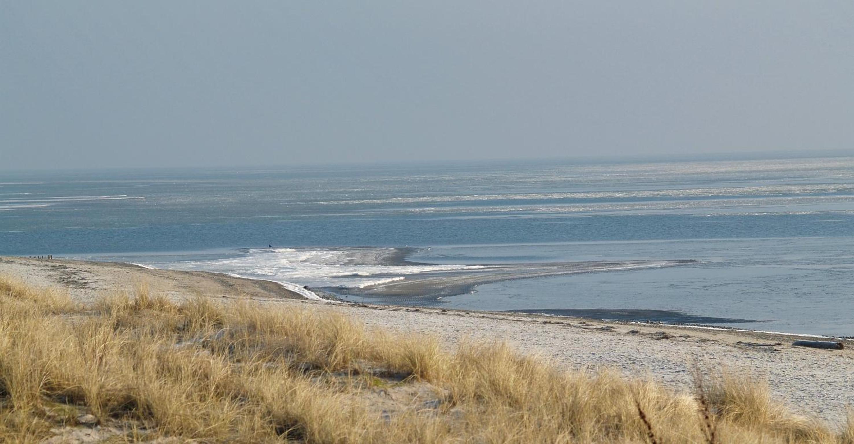 Strandpark 35