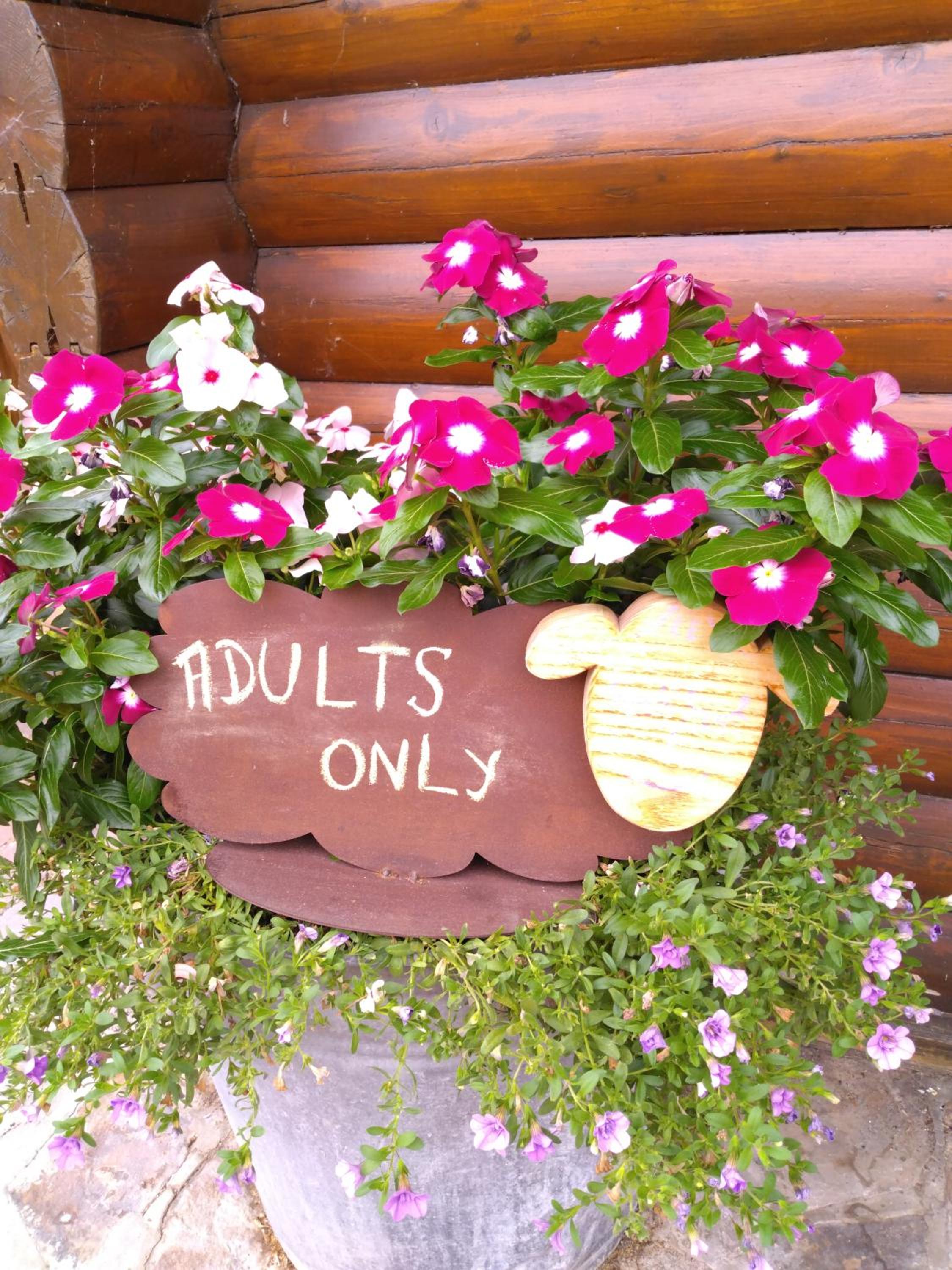 Chalet Le Paradou Adults only