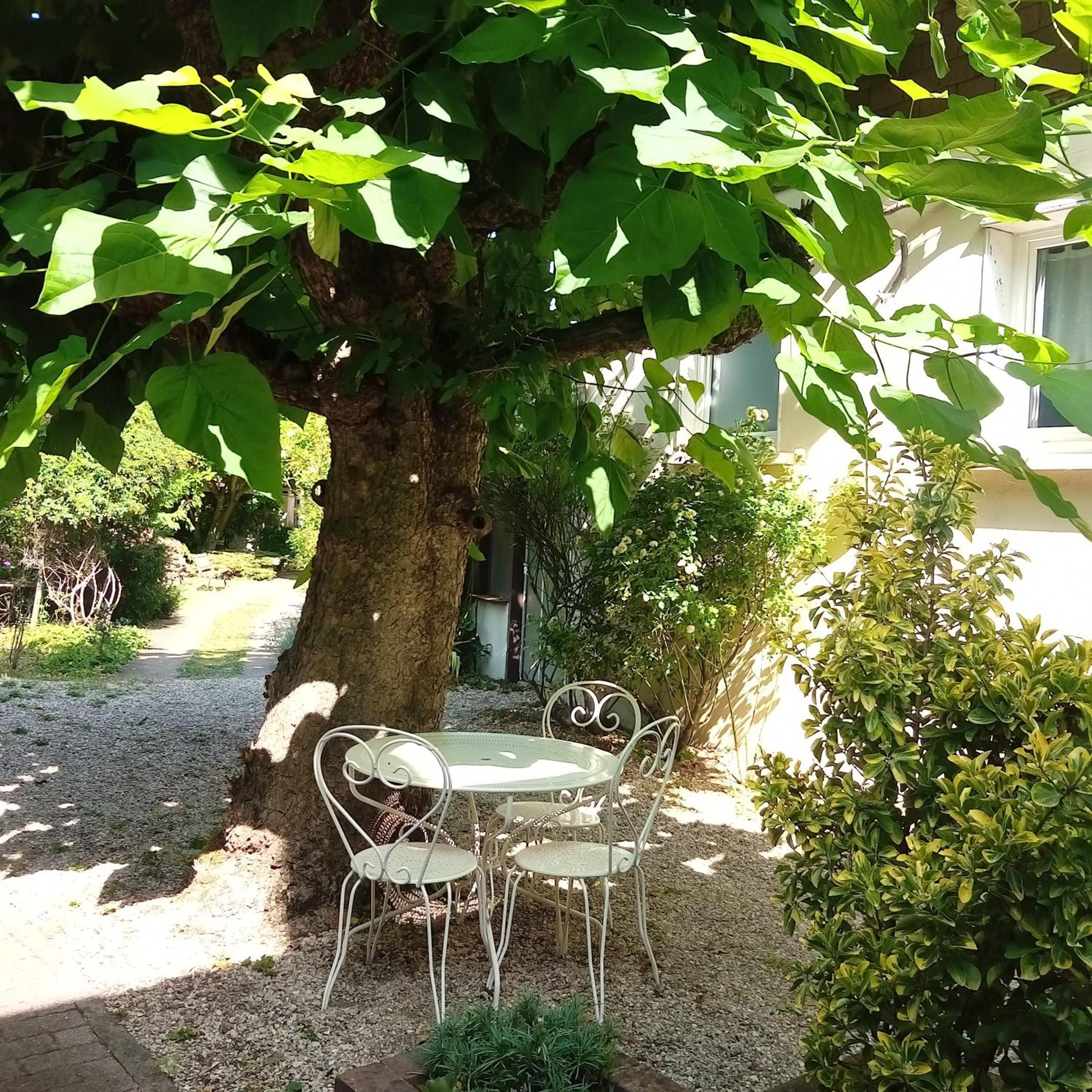 Photo 7