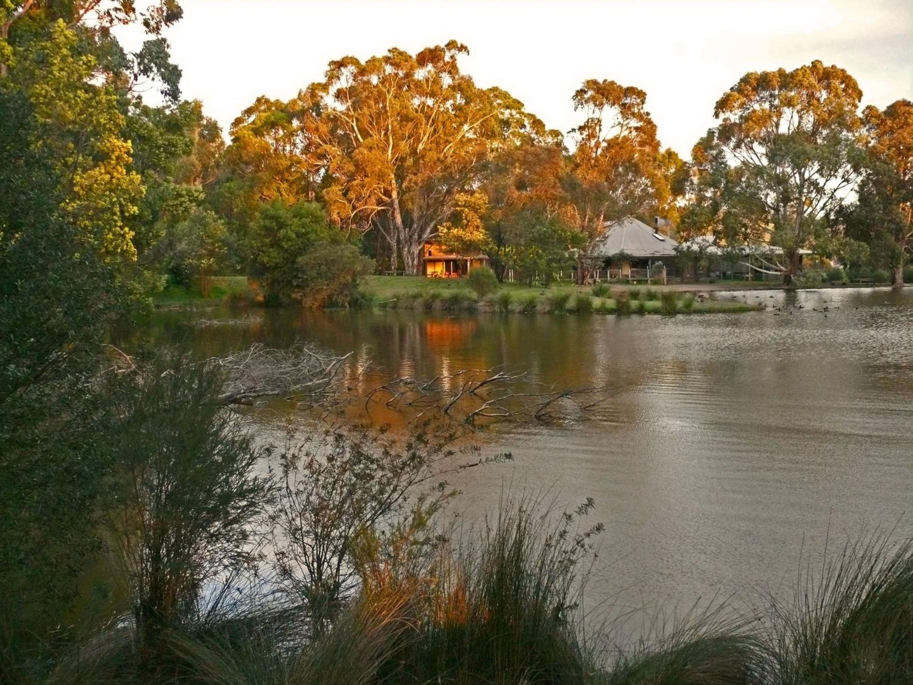 The Burrow at Wombat Bend