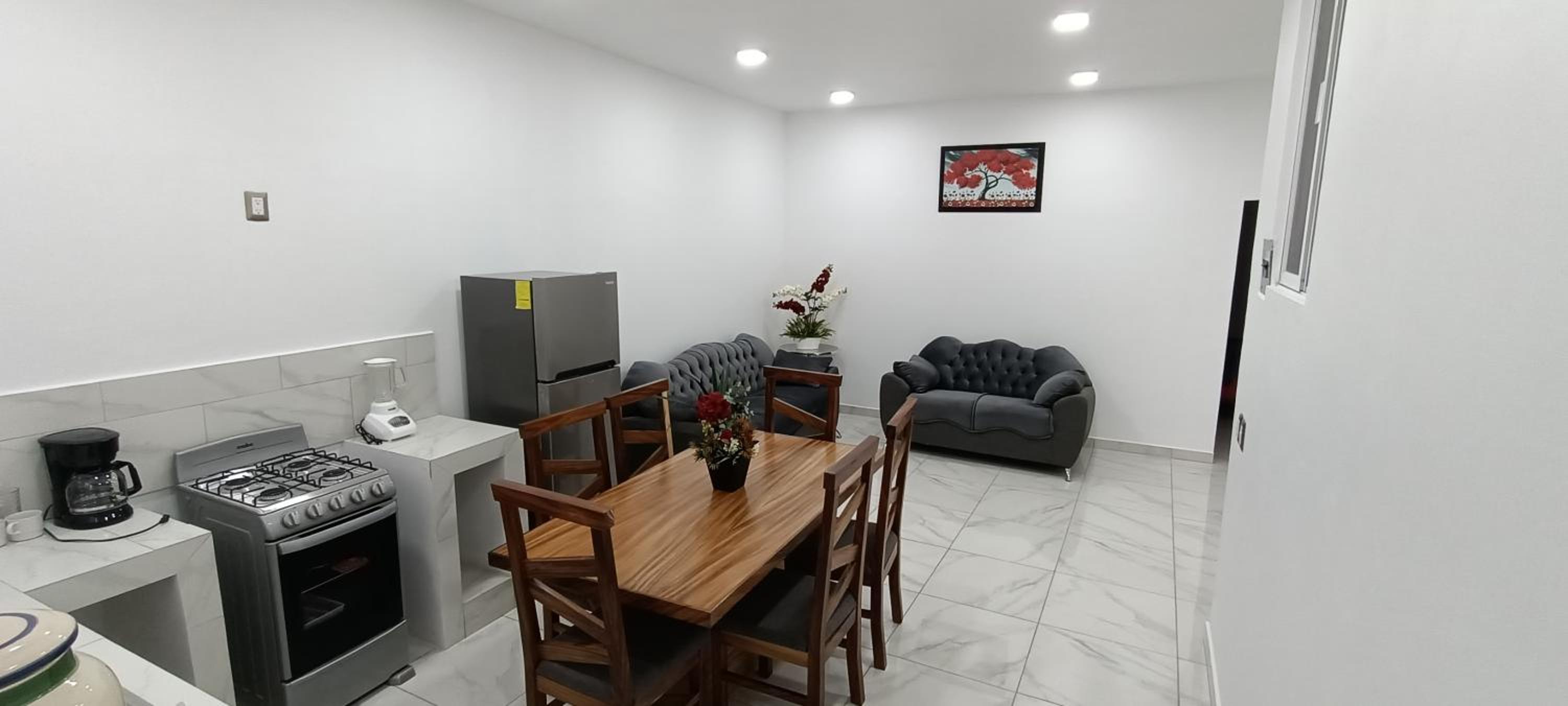 DEPARTAMENTOS LIZDIAN view 2