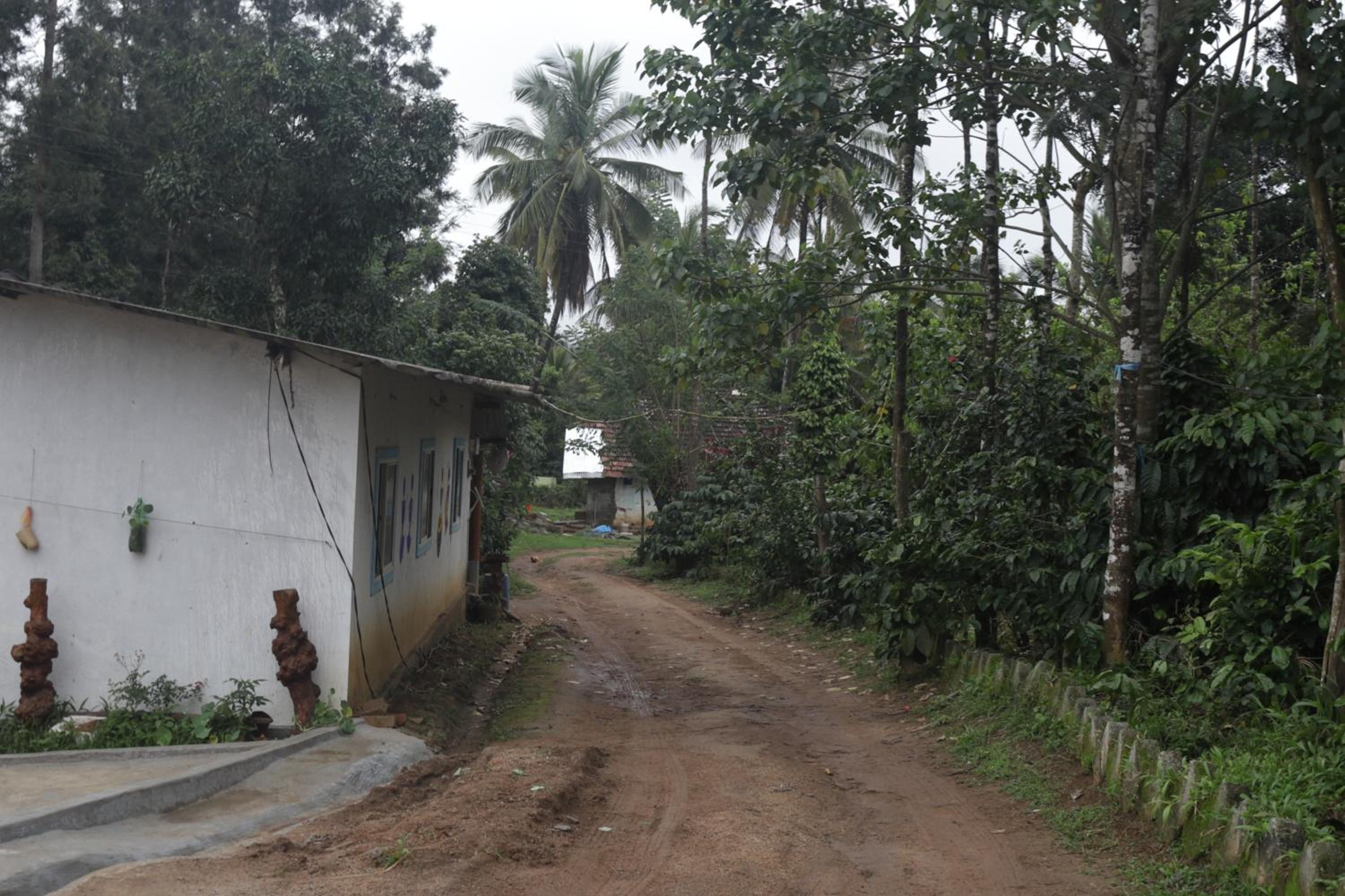 StoneAge Resort Sakleshpur view 3