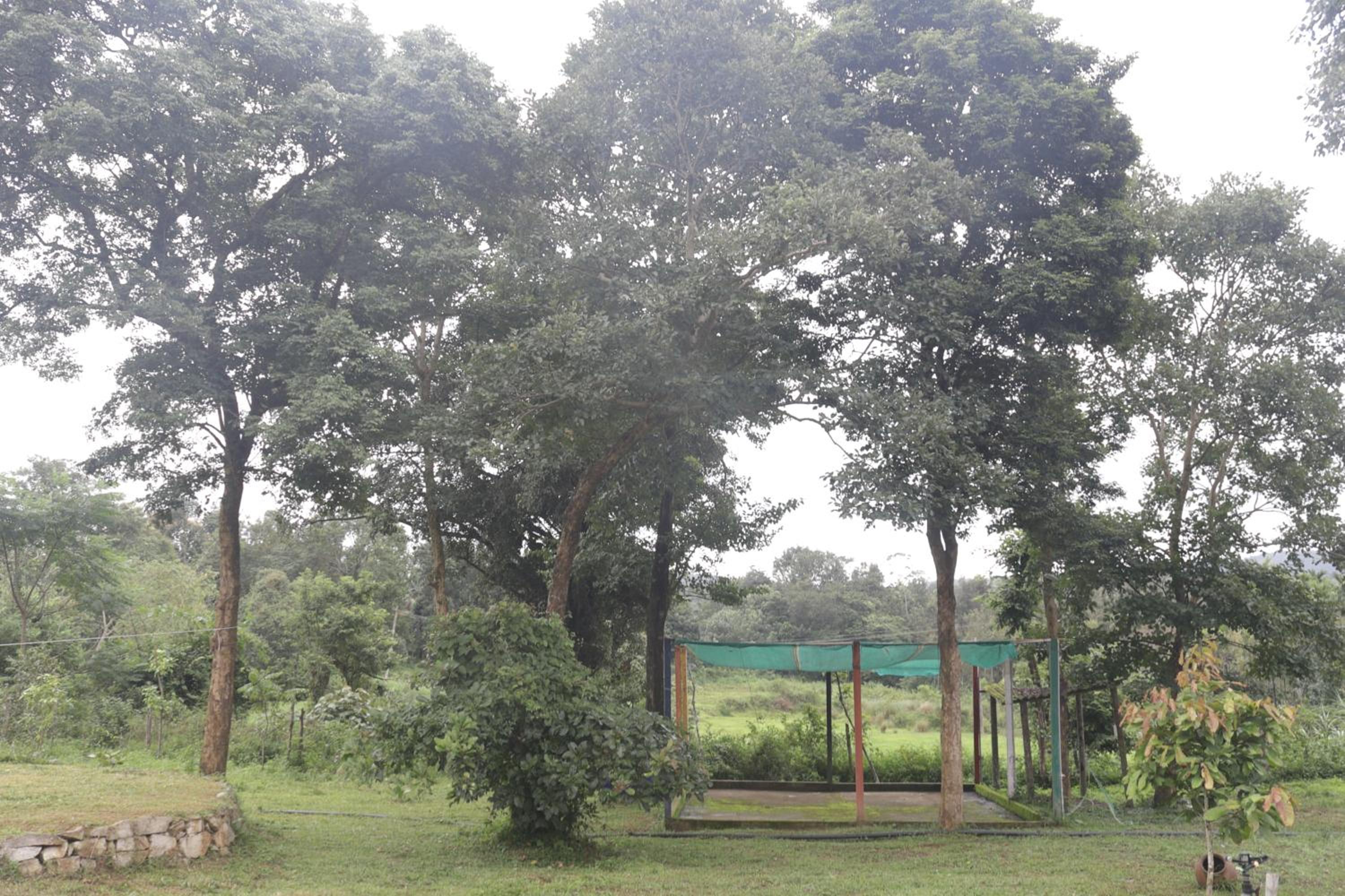 StoneAge Resort Sakleshpur view 5