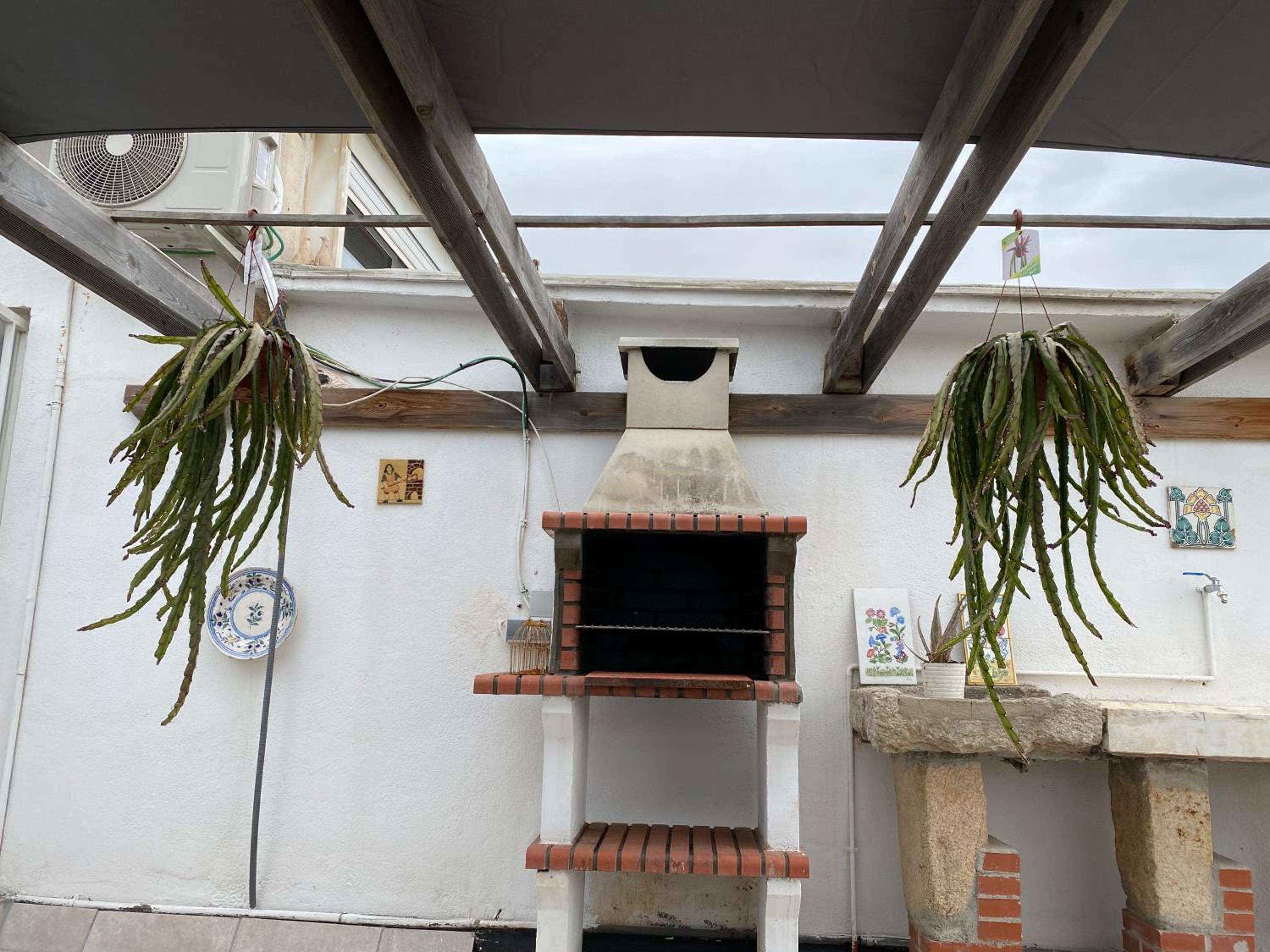 Apartamentos Playa