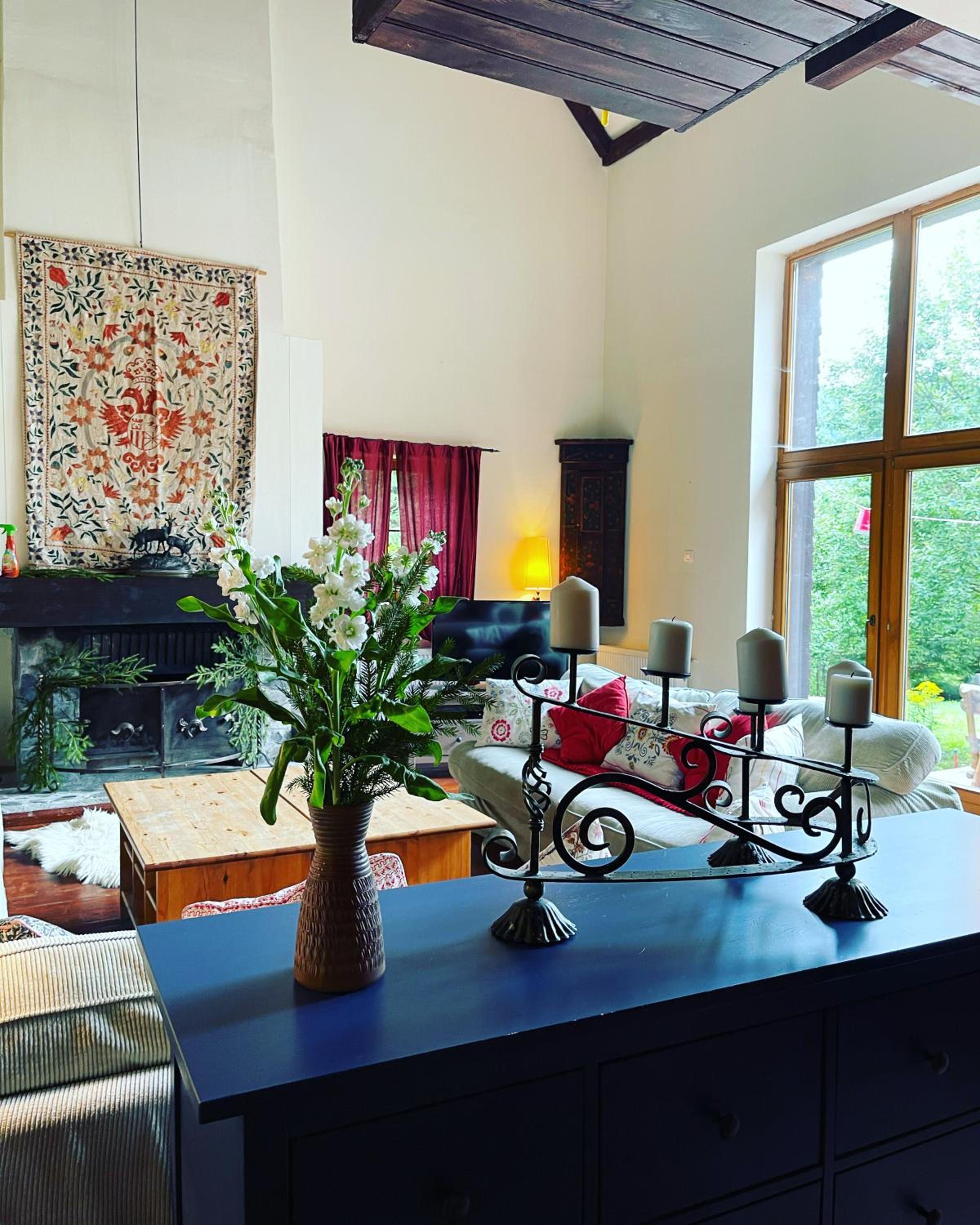 Elderberry Mountain Retreat - Azuga view 2