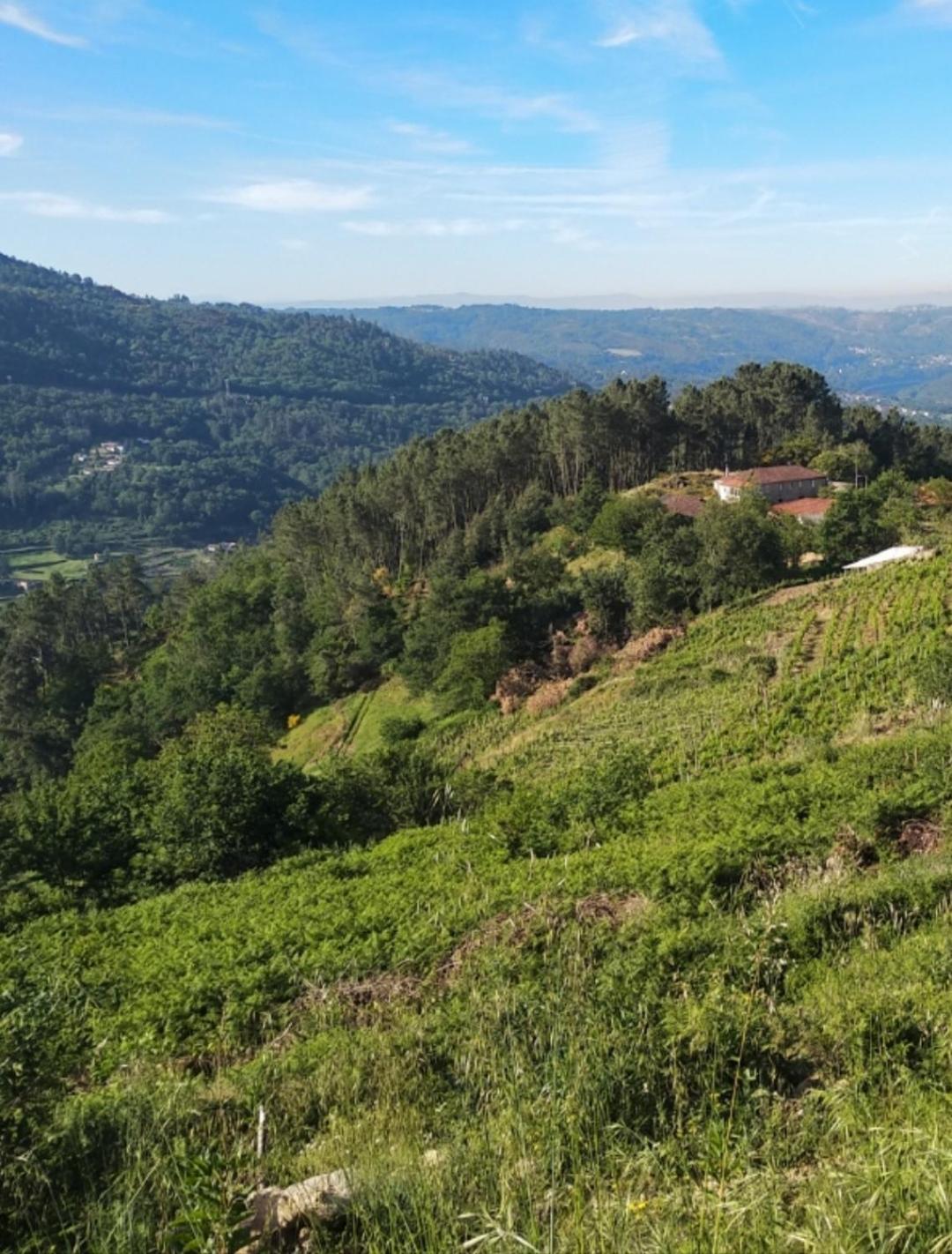 Casa do Cuco, Ribeira Sacra view 2