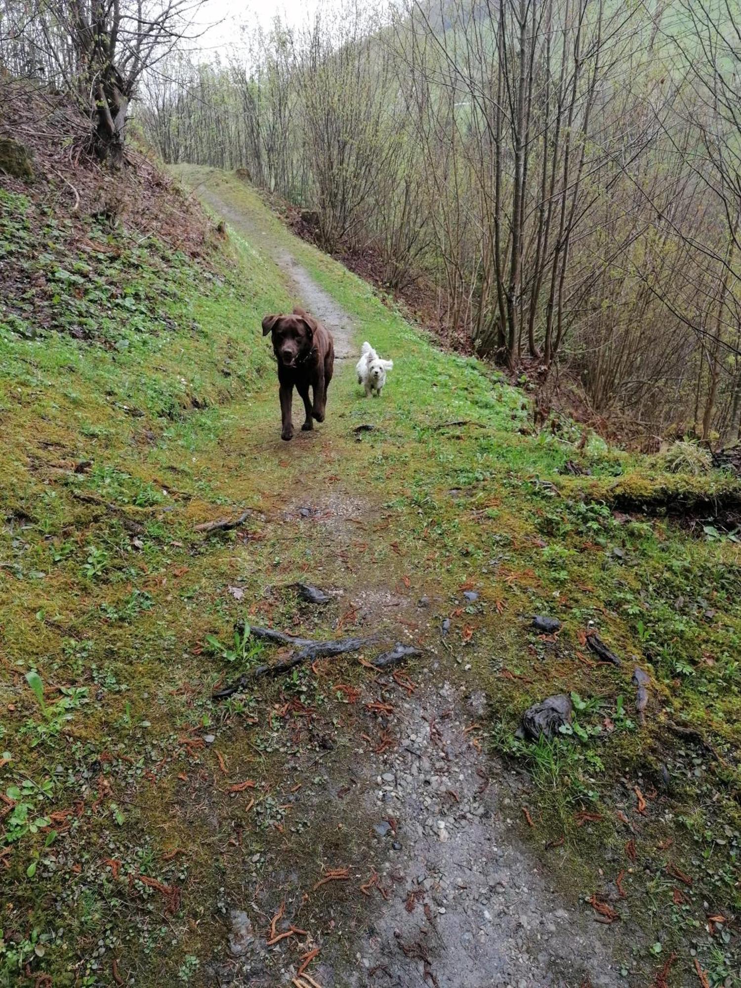 Photo 46