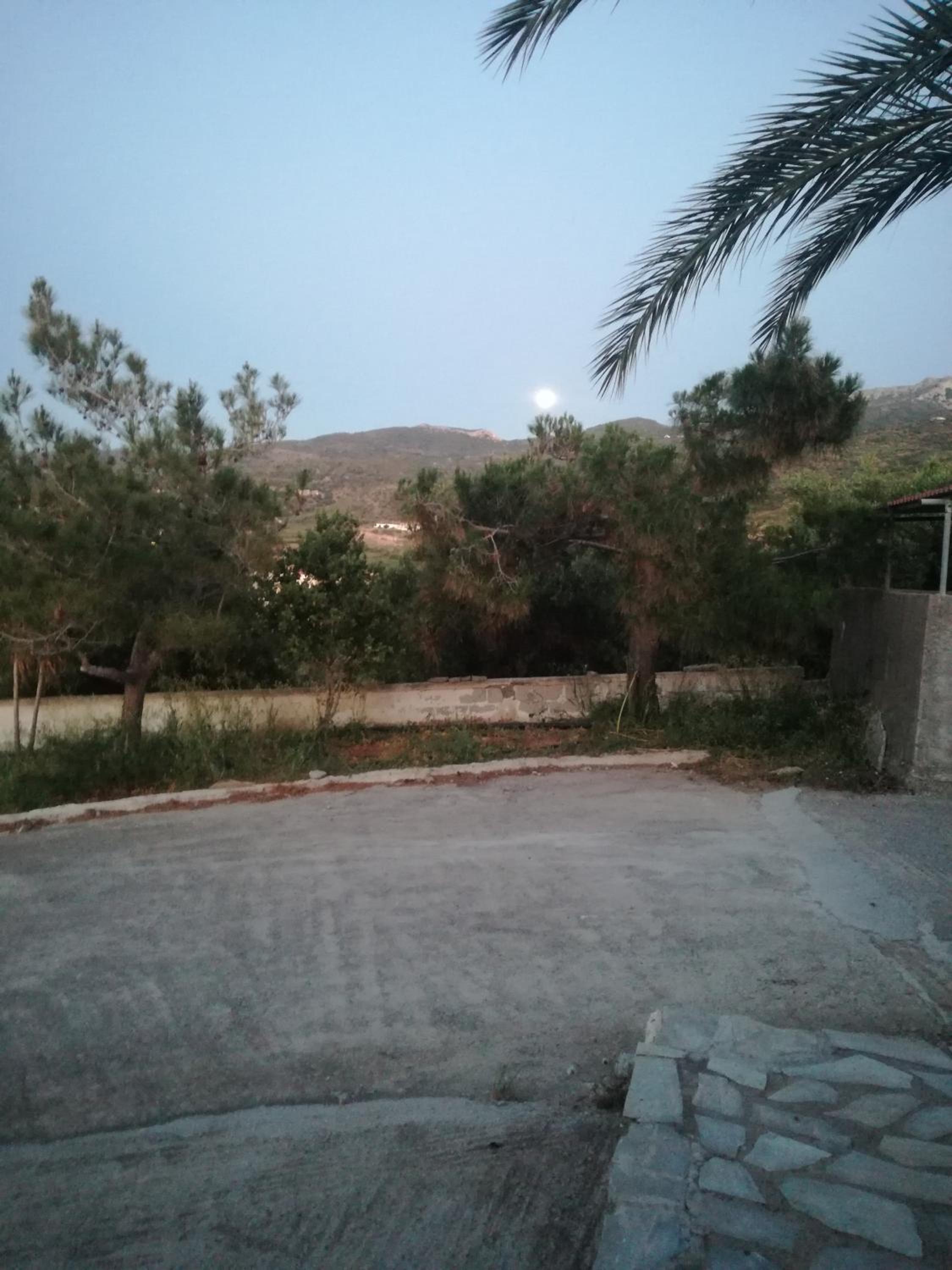 Photo 24