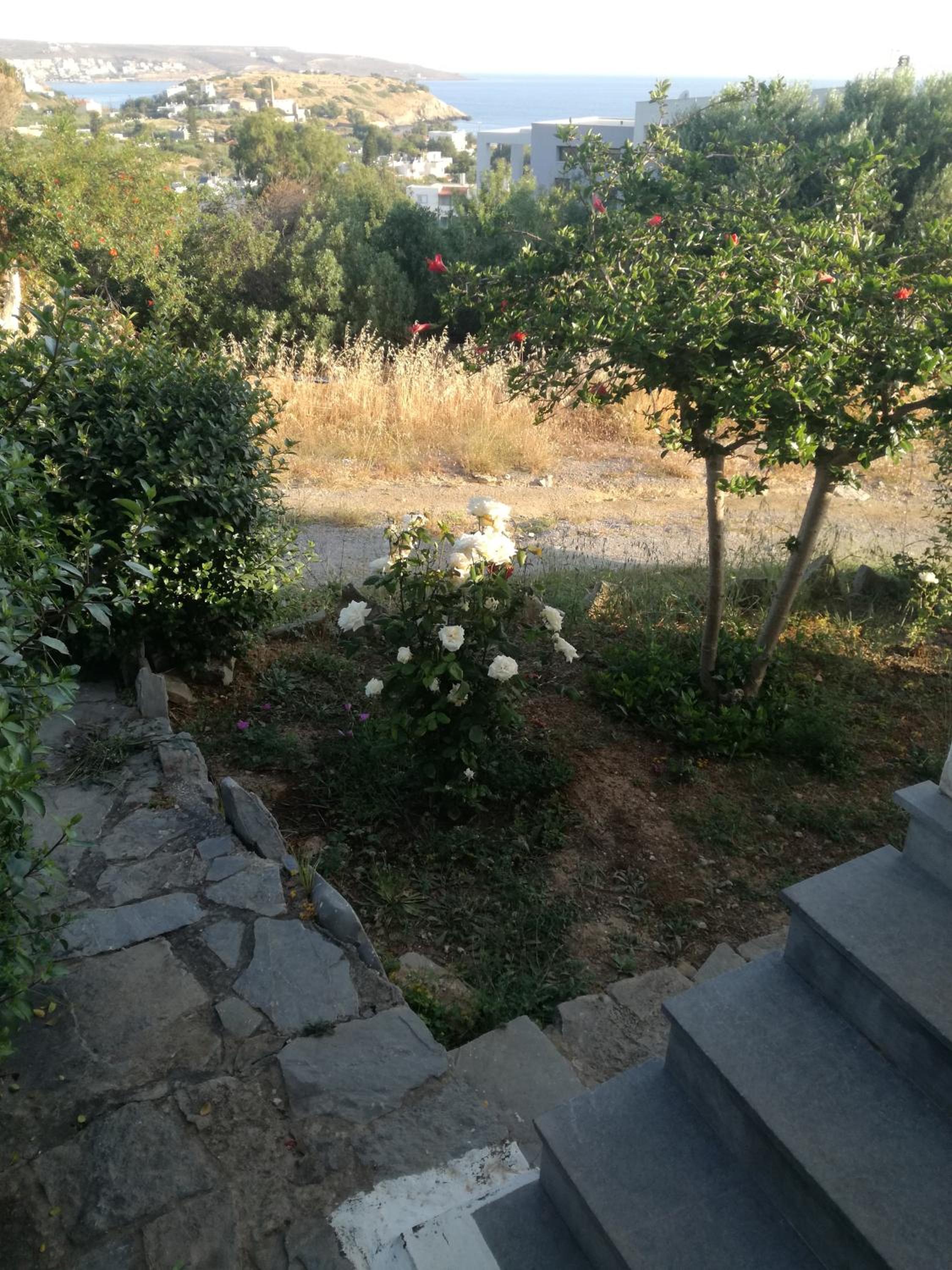 Photo 29
