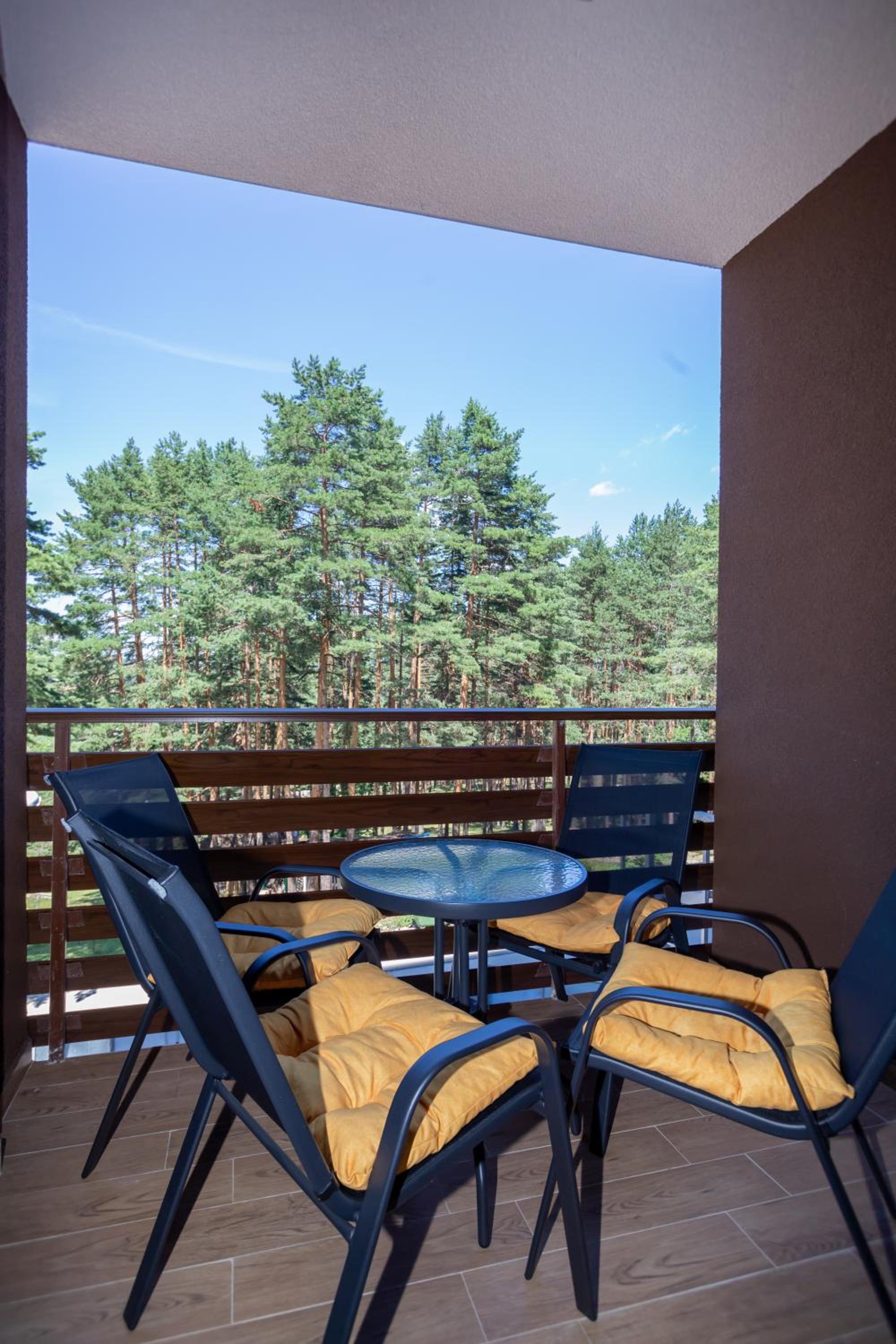 Vila Pekovic Blue-Apartman PAMA view 3