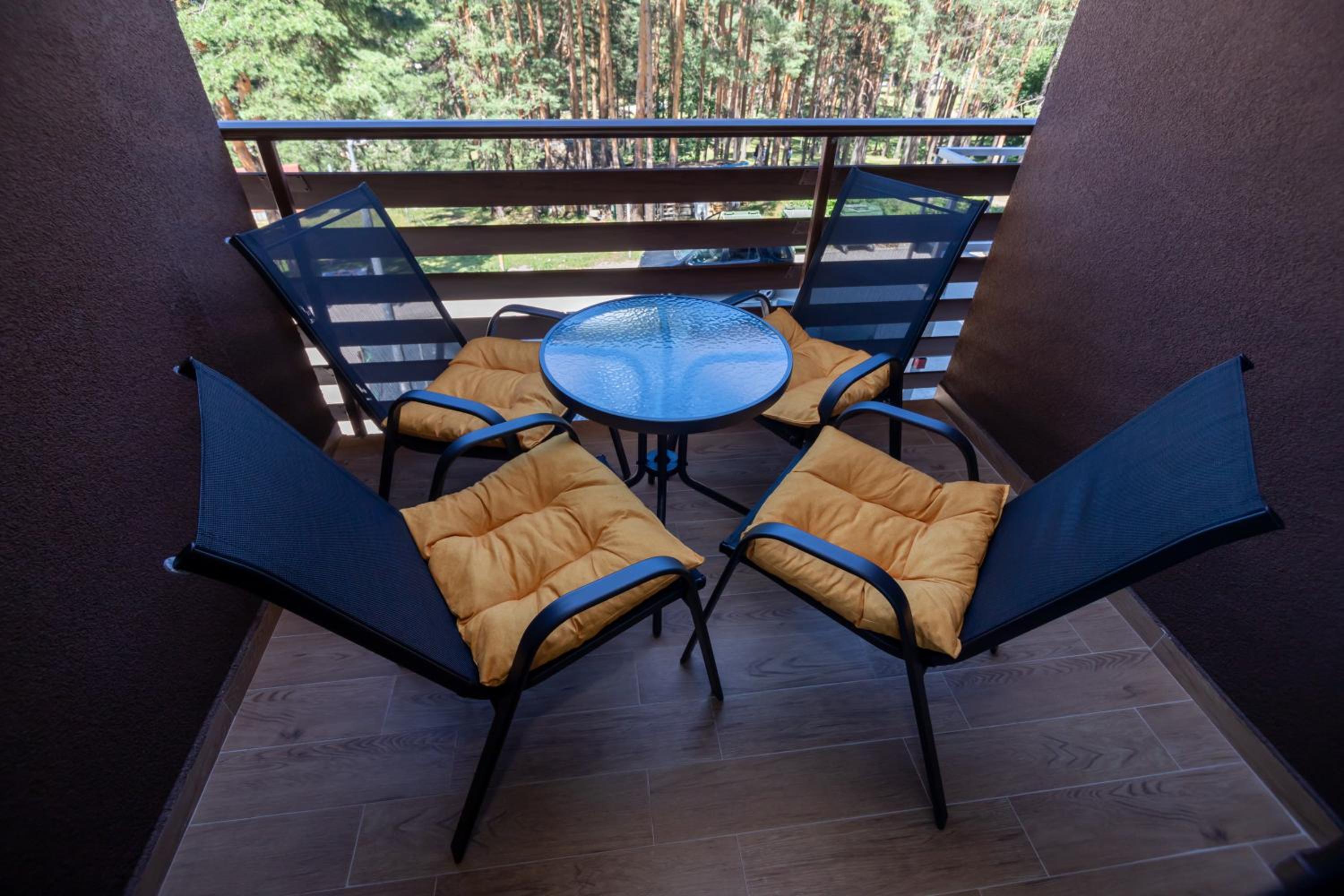 Vila Pekovic Blue-Apartman PAMA view 4