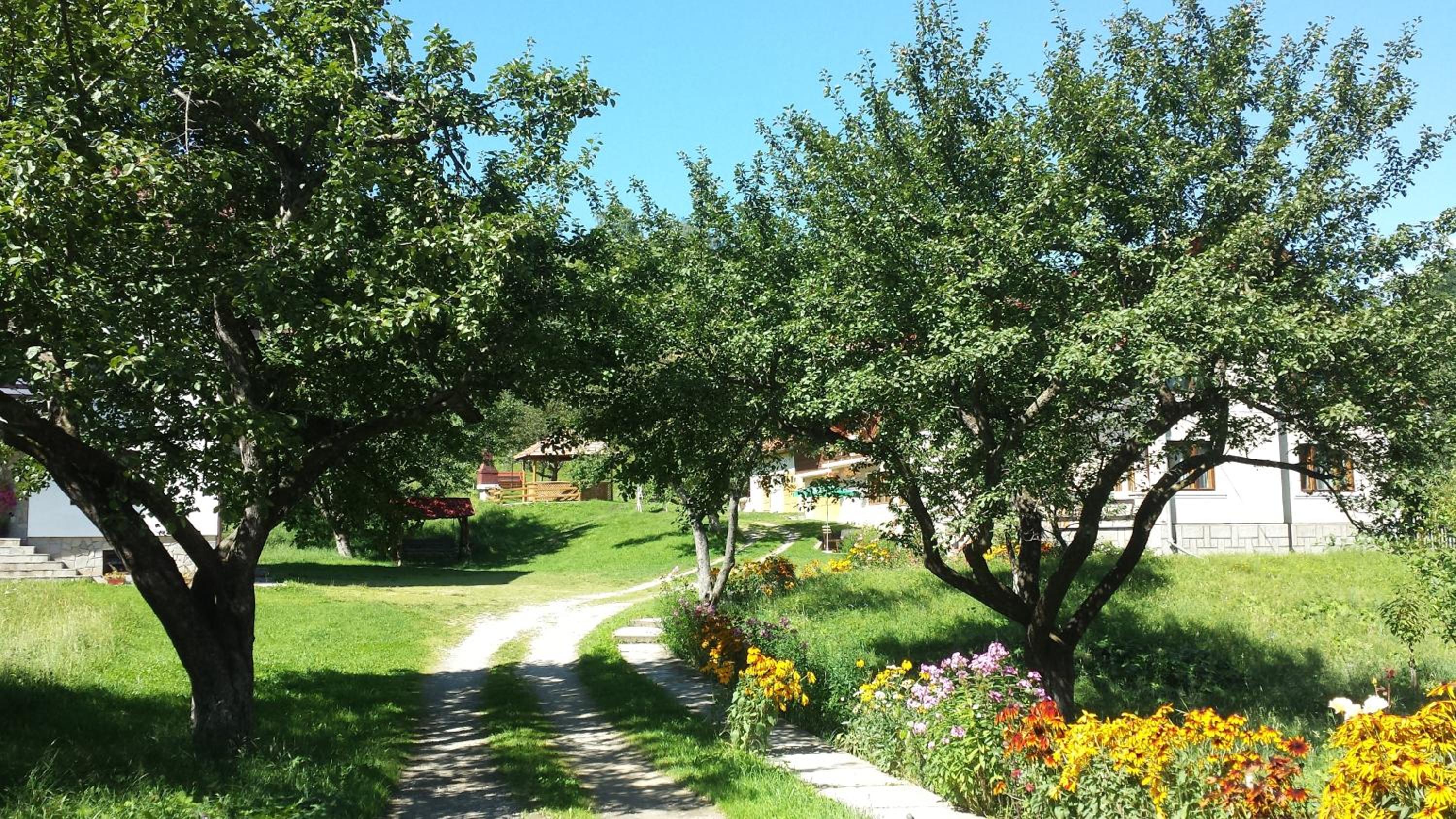 Photo 15