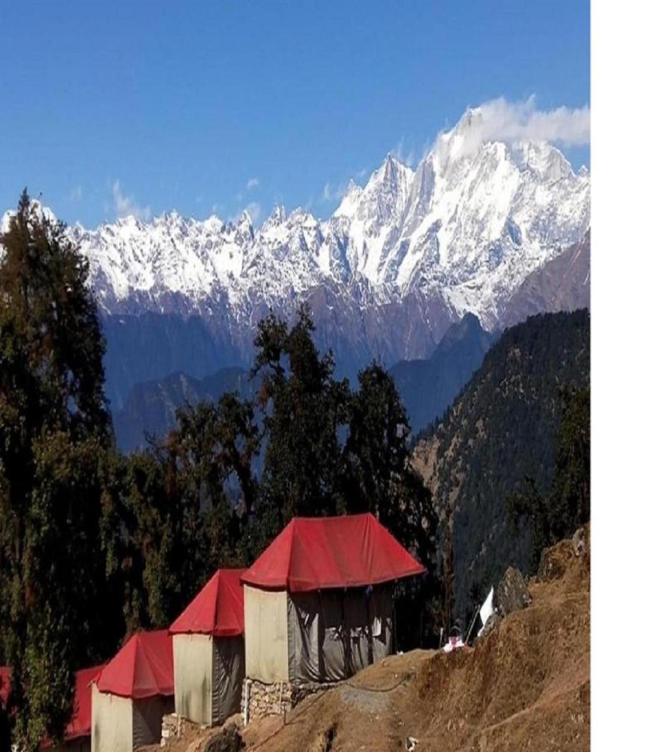 Camping at Serene Chopta view 5