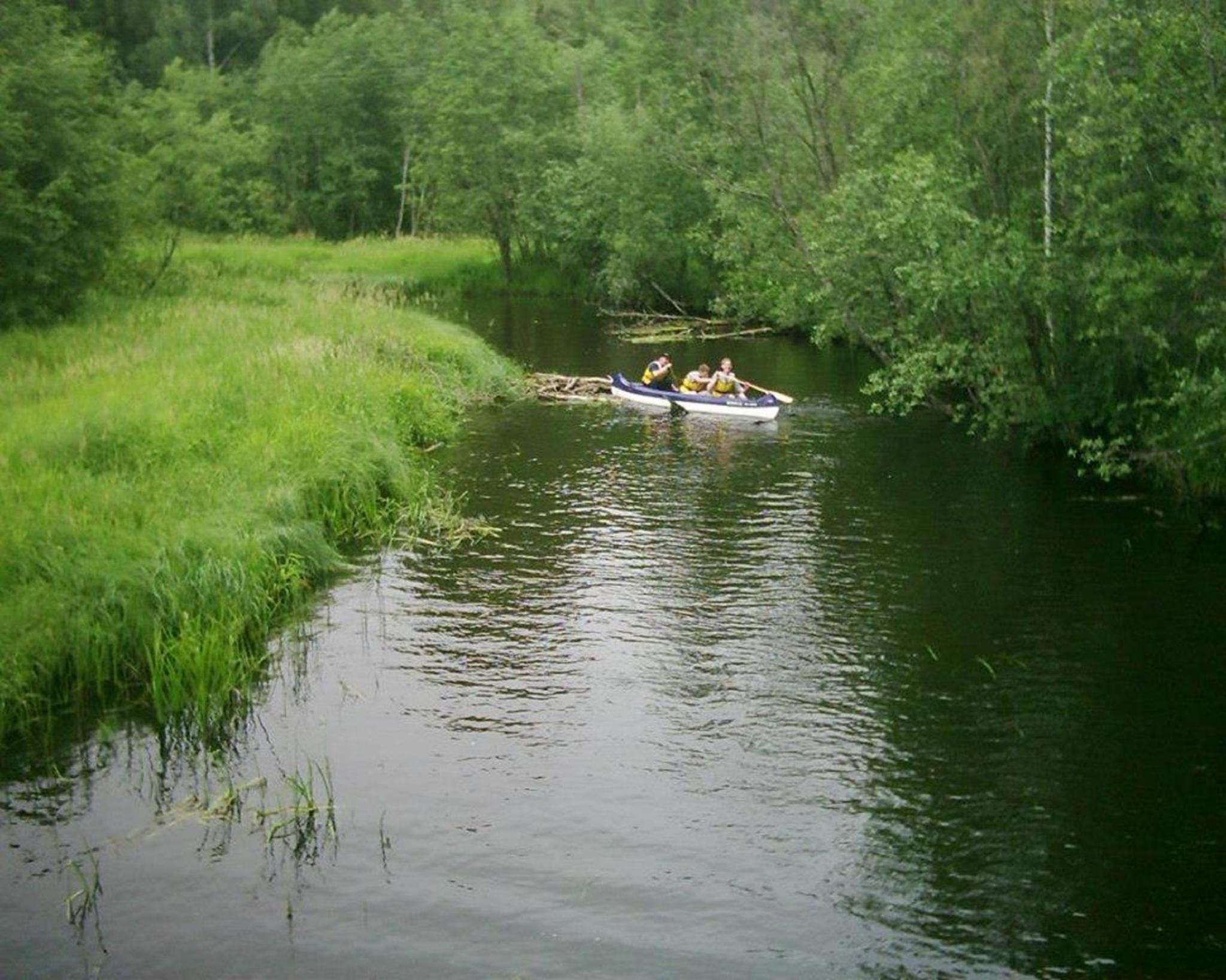 Photo 9
