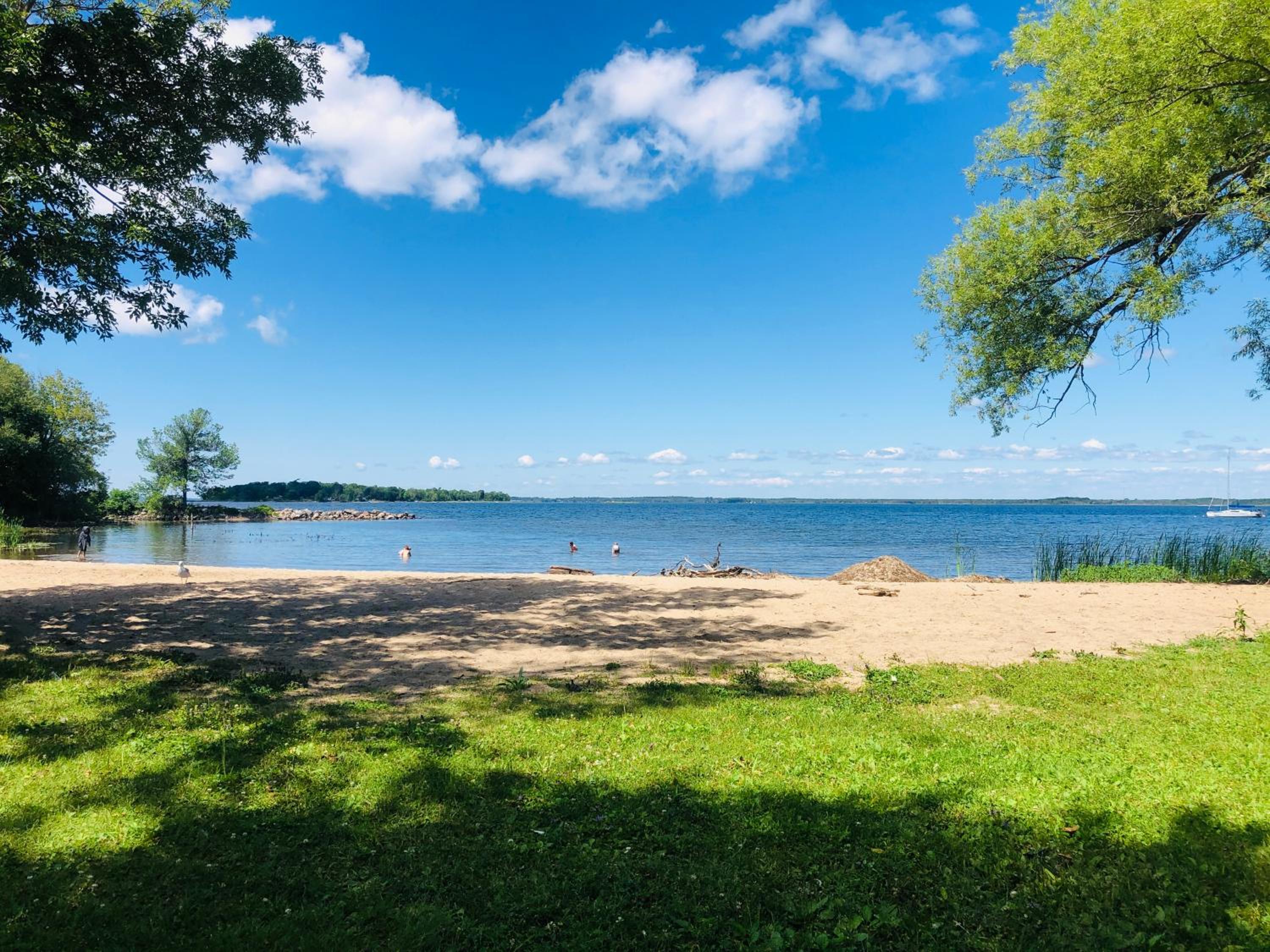 Peaceful Waterfront Cottage on Georgian Bay