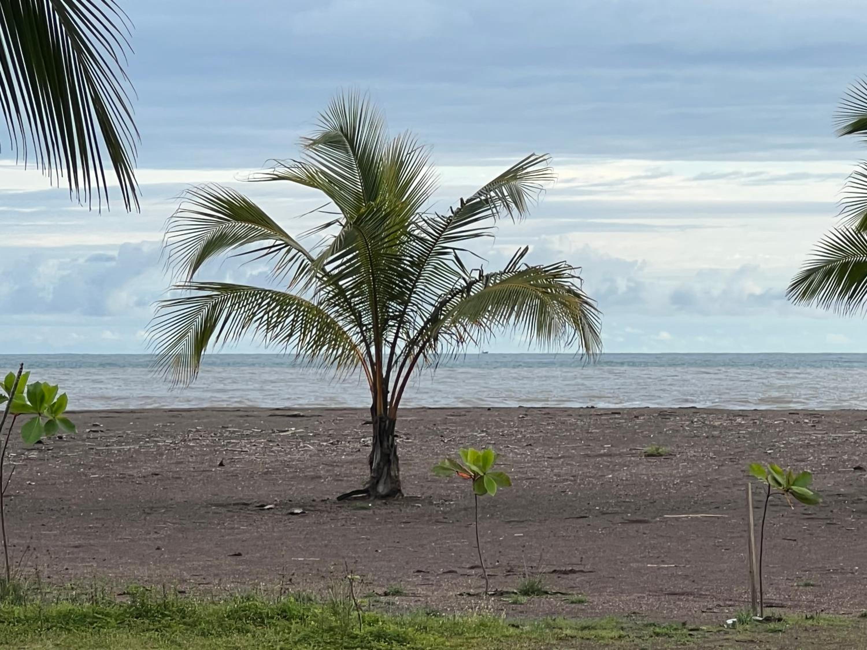 BEACHFRONT Condo Bahia Encantada L1 Jaco Beach view 3