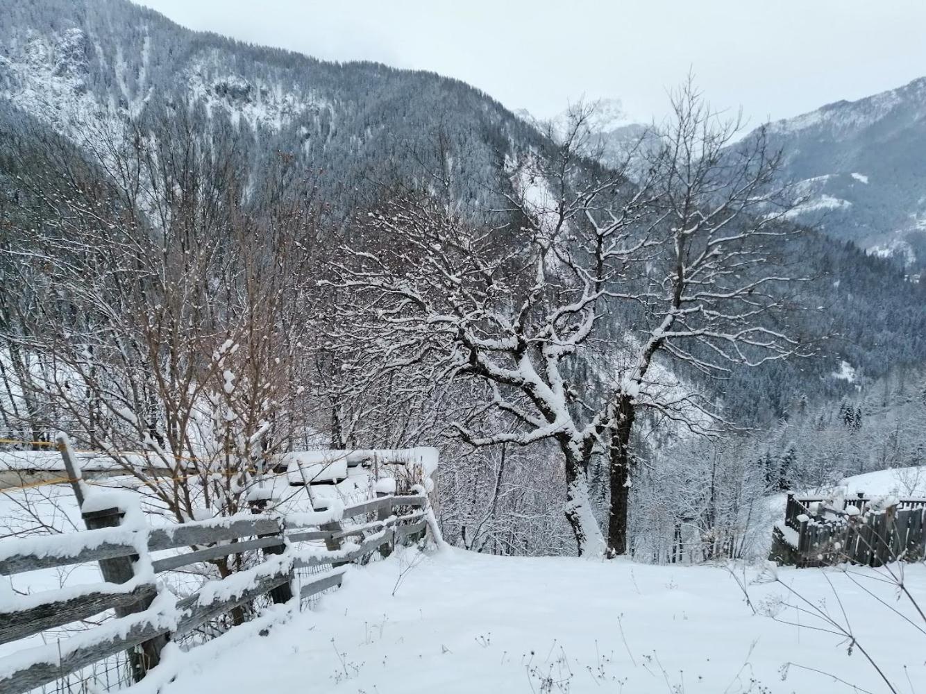 Appartamento Alto Cordevole view 5