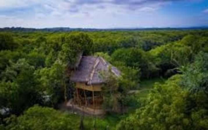 Mermaid Cabana and Tree Houses view 2