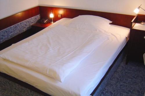 Hotel & Restaurant Raisch view 4