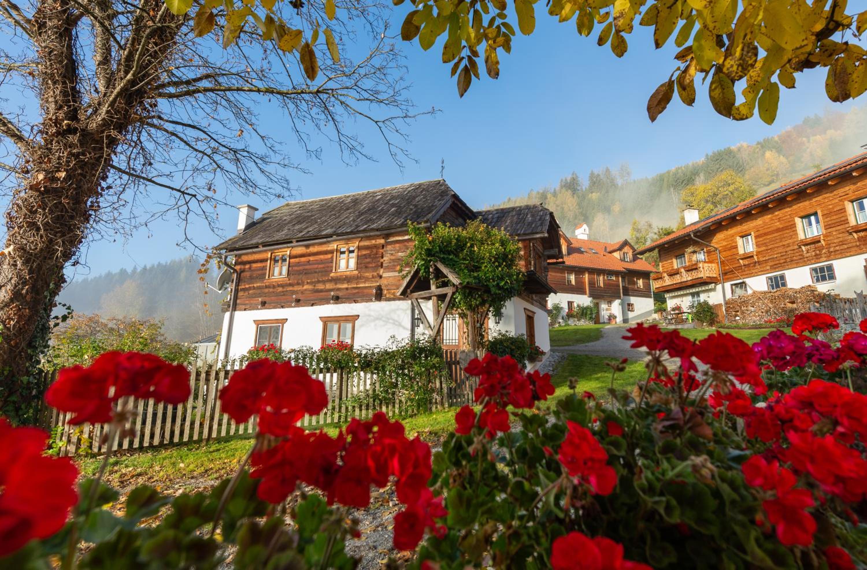 Troadkasten - Ferienhaus am BIO-Bergbauernhof Kammerhofer vlg Roath