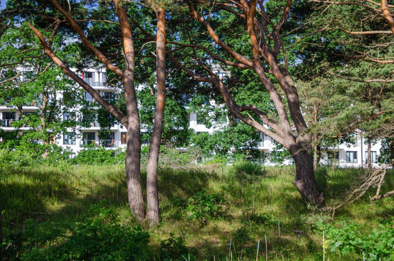 Prora - Edles Penthouse mit Jacuzzi, Kamin, Sonnenterrasse und Waschmaschine - Stella Maris