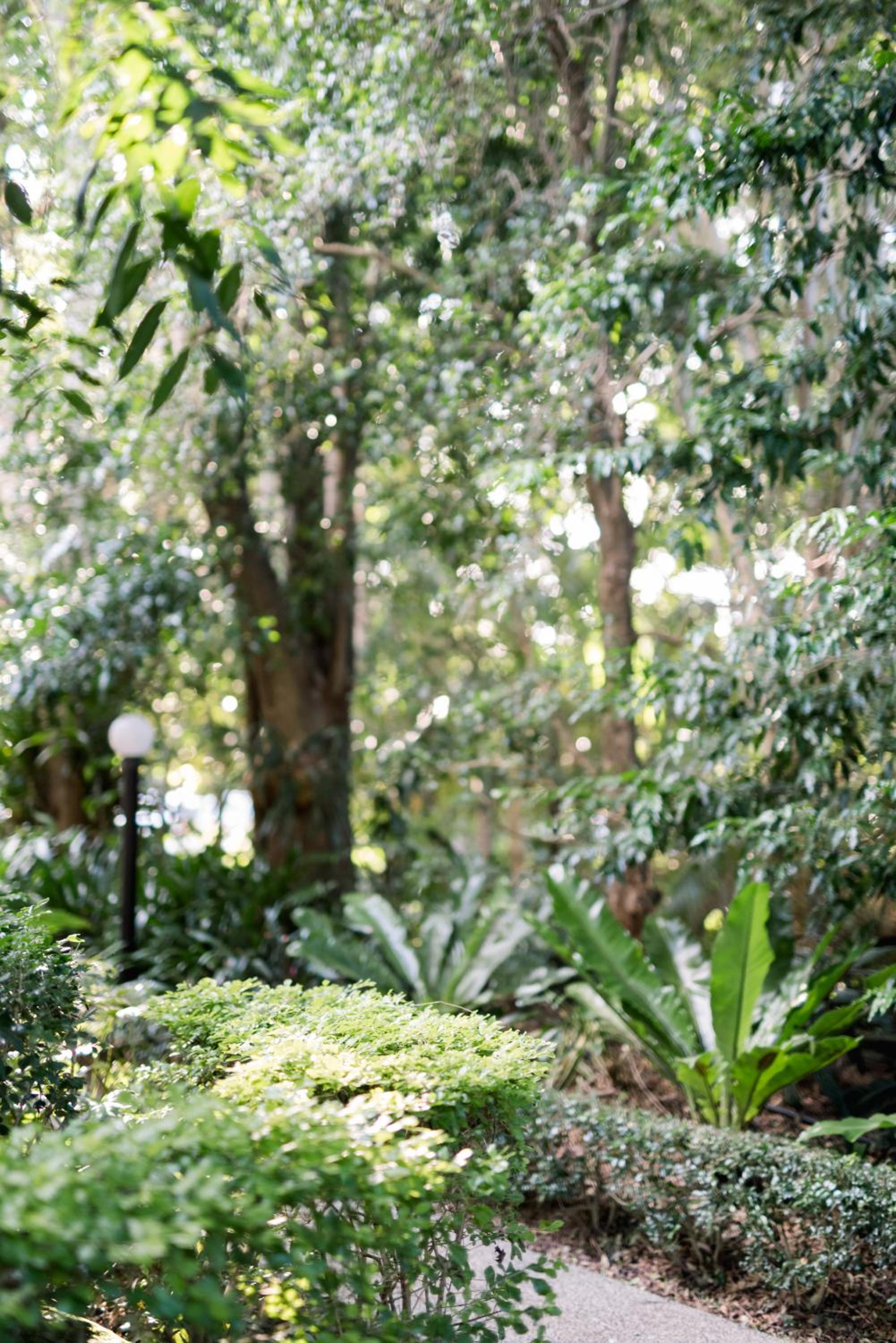 Shambala Estate Cottages