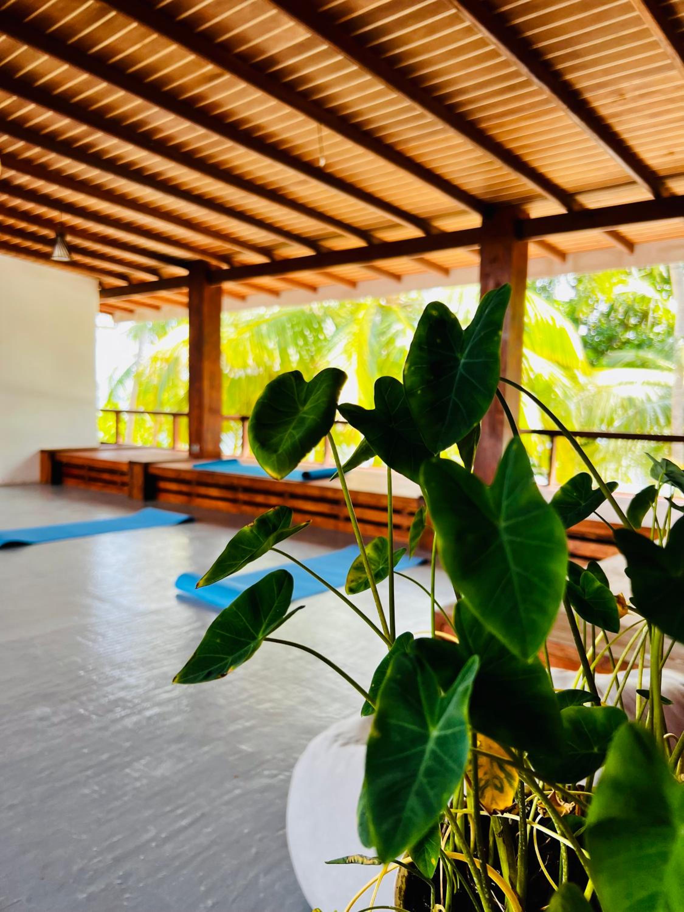 Aveyla Manta Village