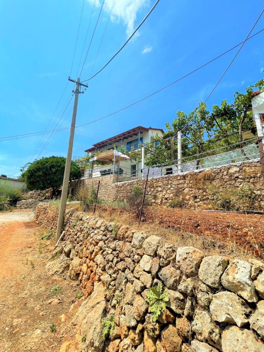 Alexis House