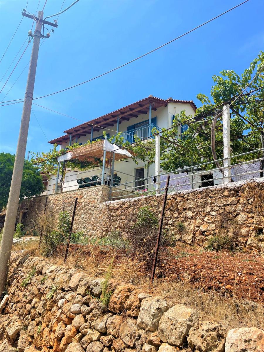 Alexis House
