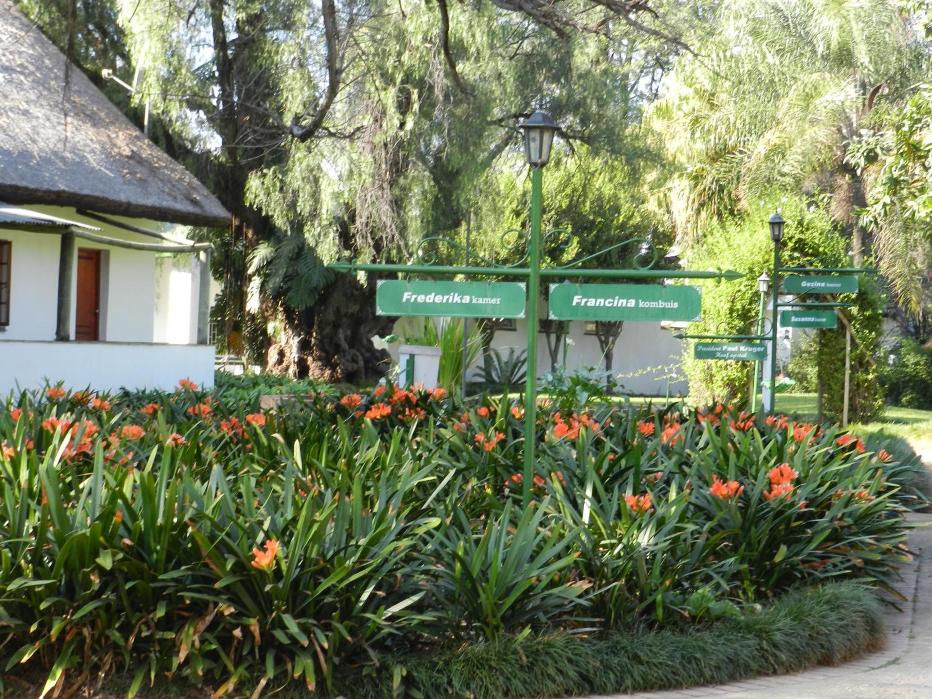 Photo 21