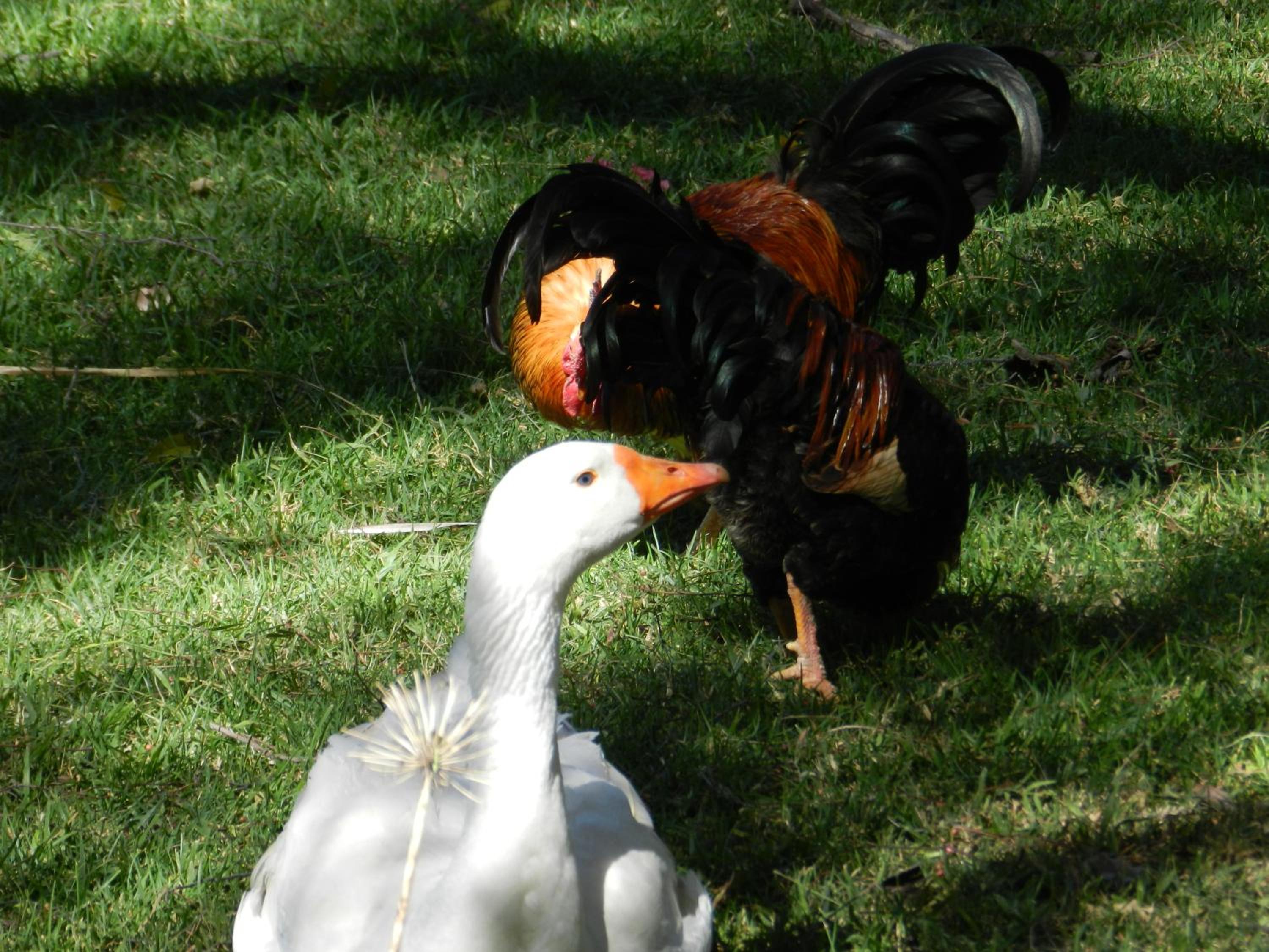 Photo 22