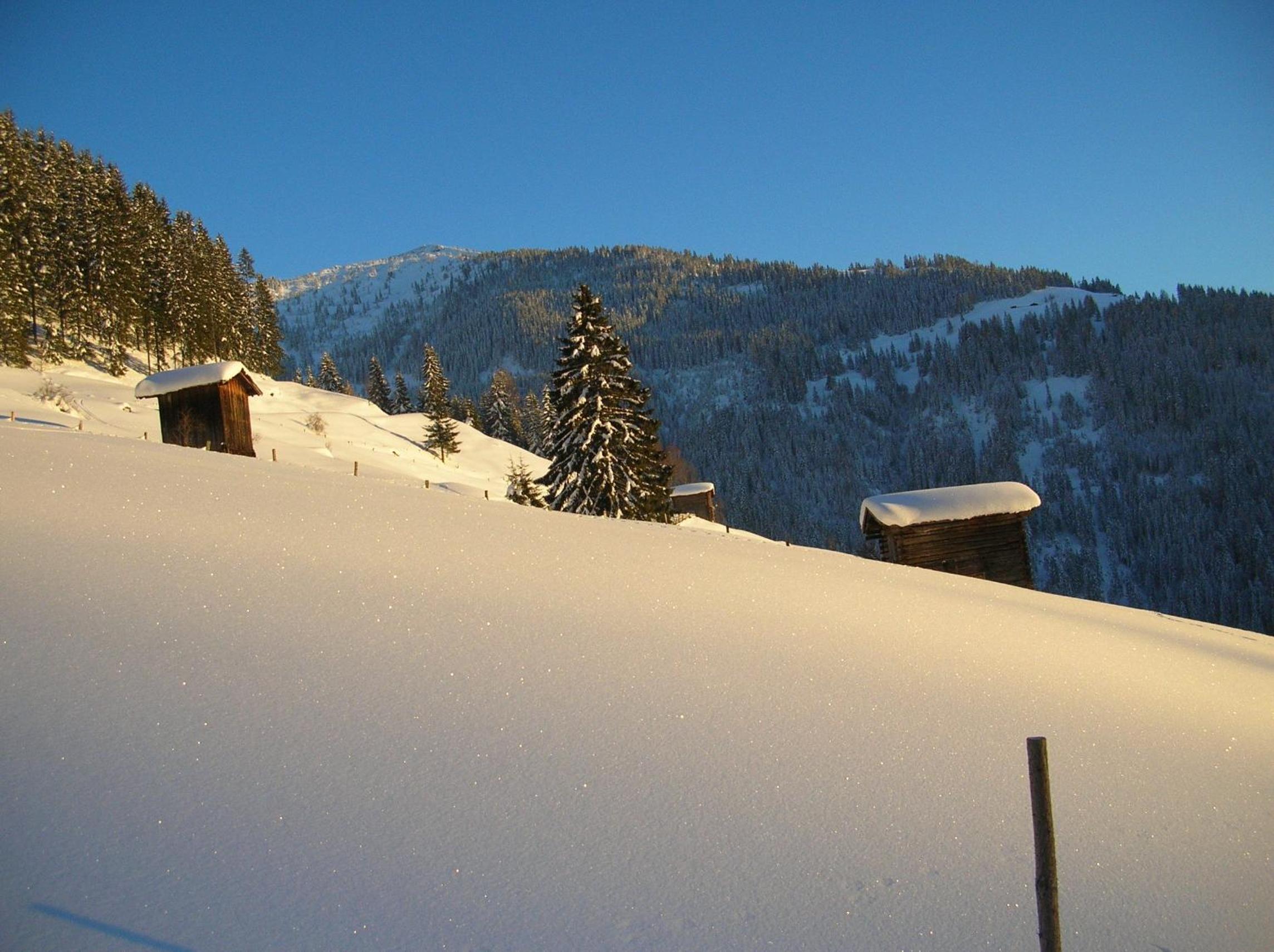 Photo 40