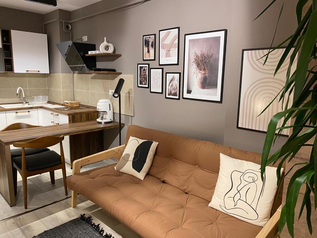 Shi Zi Junior Suite - Image 4